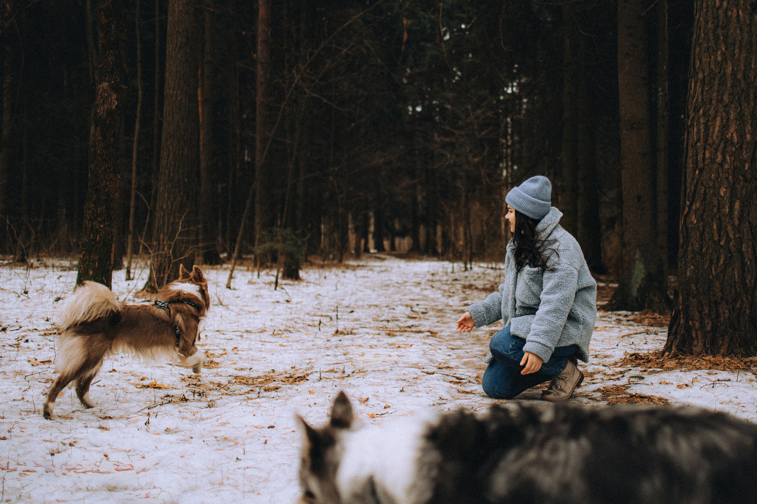 Полина, Милли и Паддингтон