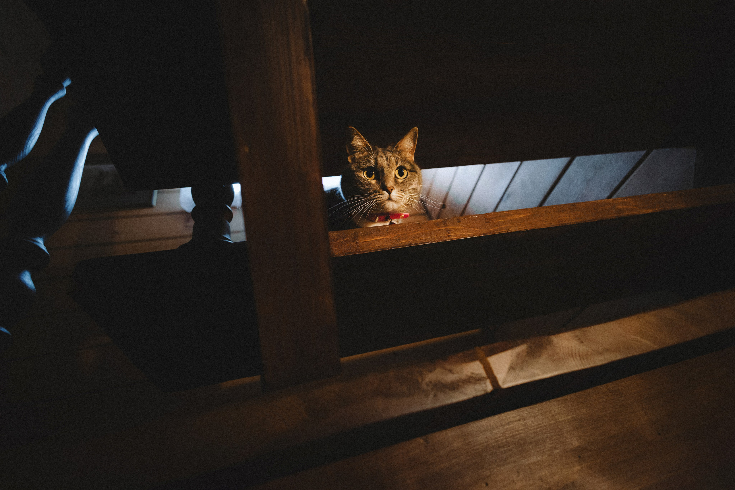 Леброн, Муся и их семья