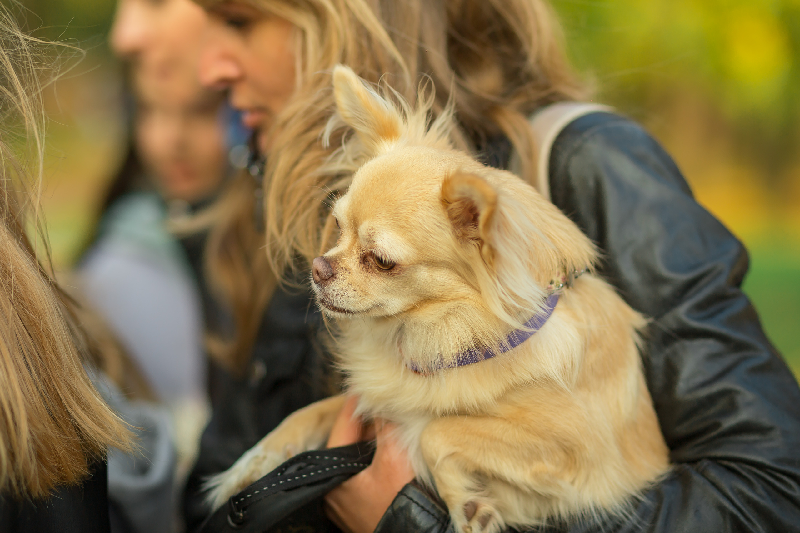 Семейный квест от Квестории. Фотографиня Мария Дикова