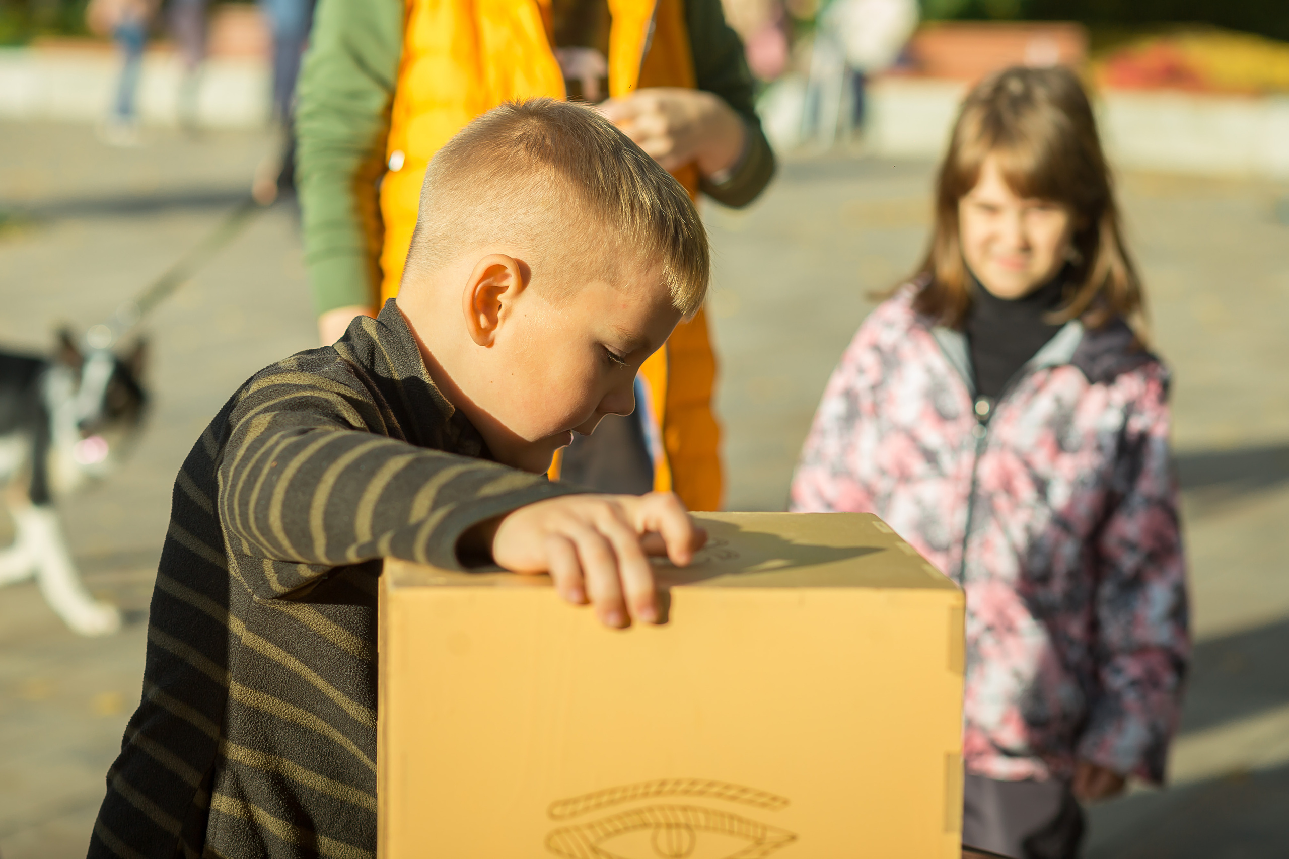 Семейный квест от Квестории. Фотографиня Мария Дикова