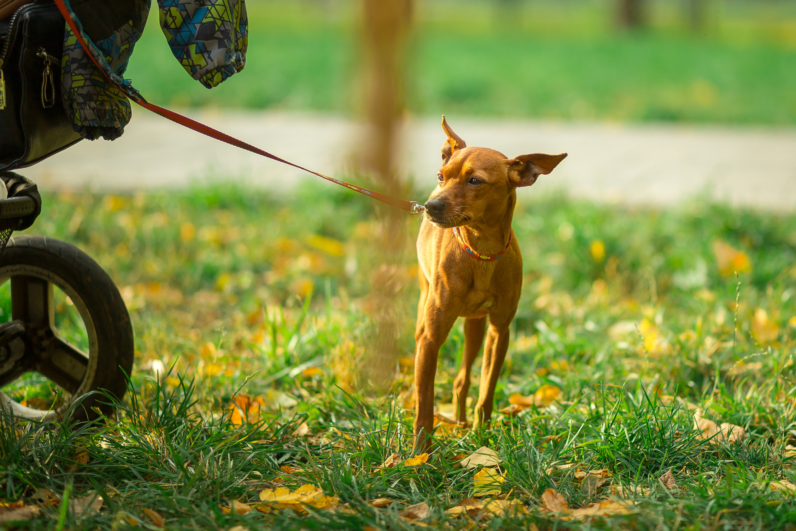 Семейный квест от Квестории. Фотографиня Мария Дикова