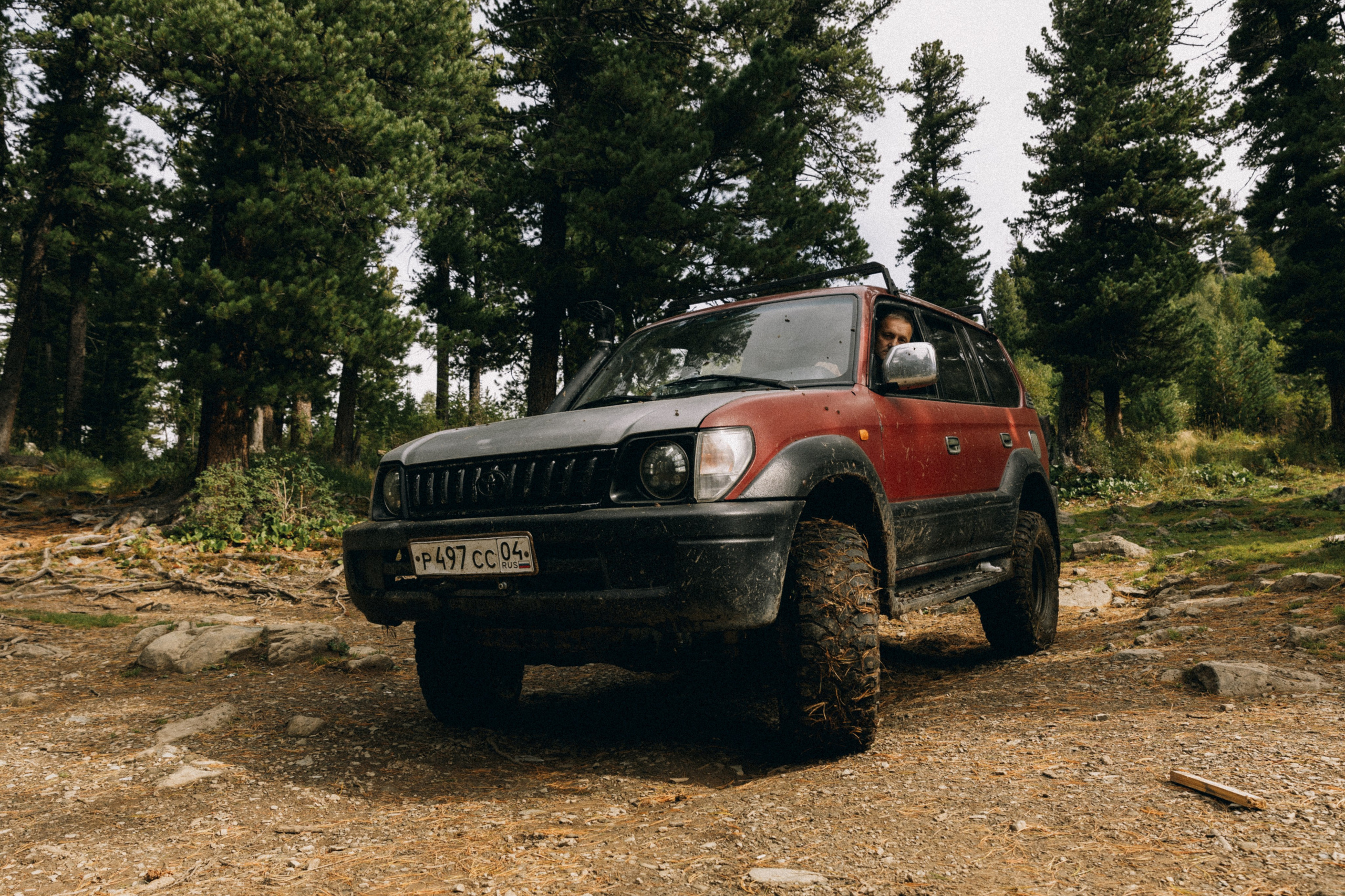 Алтай, природа и эстетика. Александр Чернин. Семейный и событийный фотограф