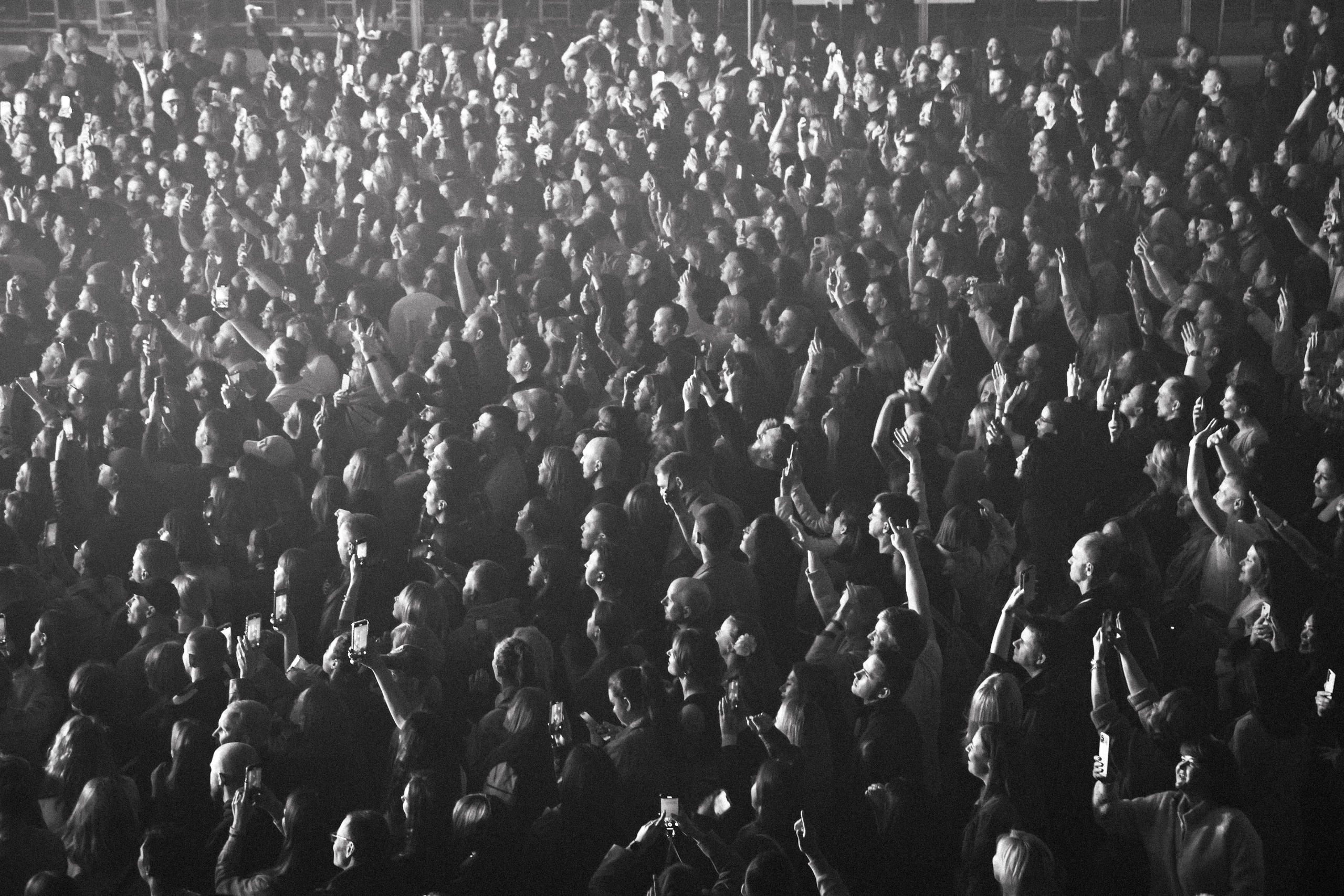 CONCERT. Главная