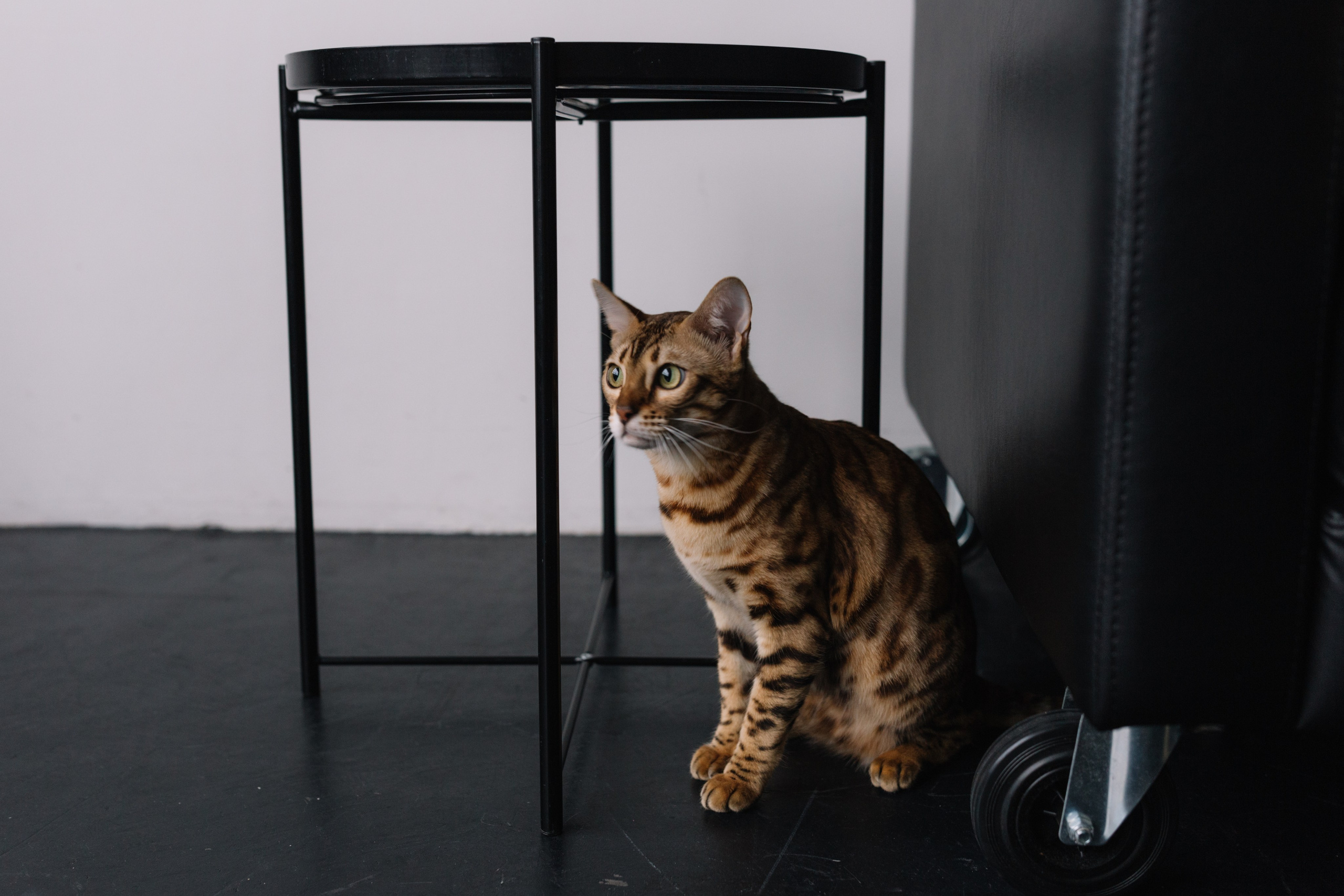 Мила и Моана. Семейный фотограф в Волгограде Надежда Головко