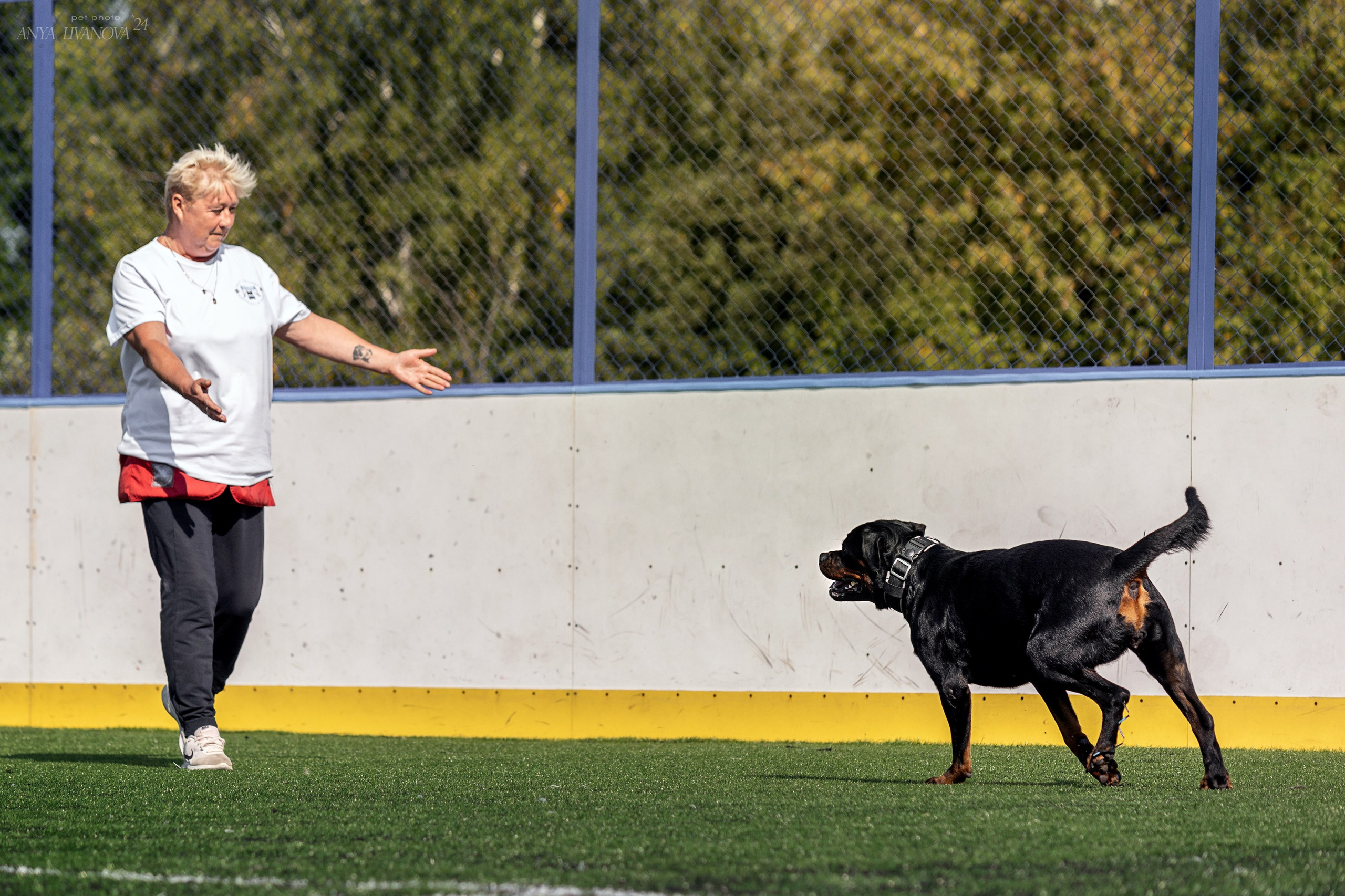 Ралли обидиенс. Фотограф анималист Аня Ливанова | Рыбинск