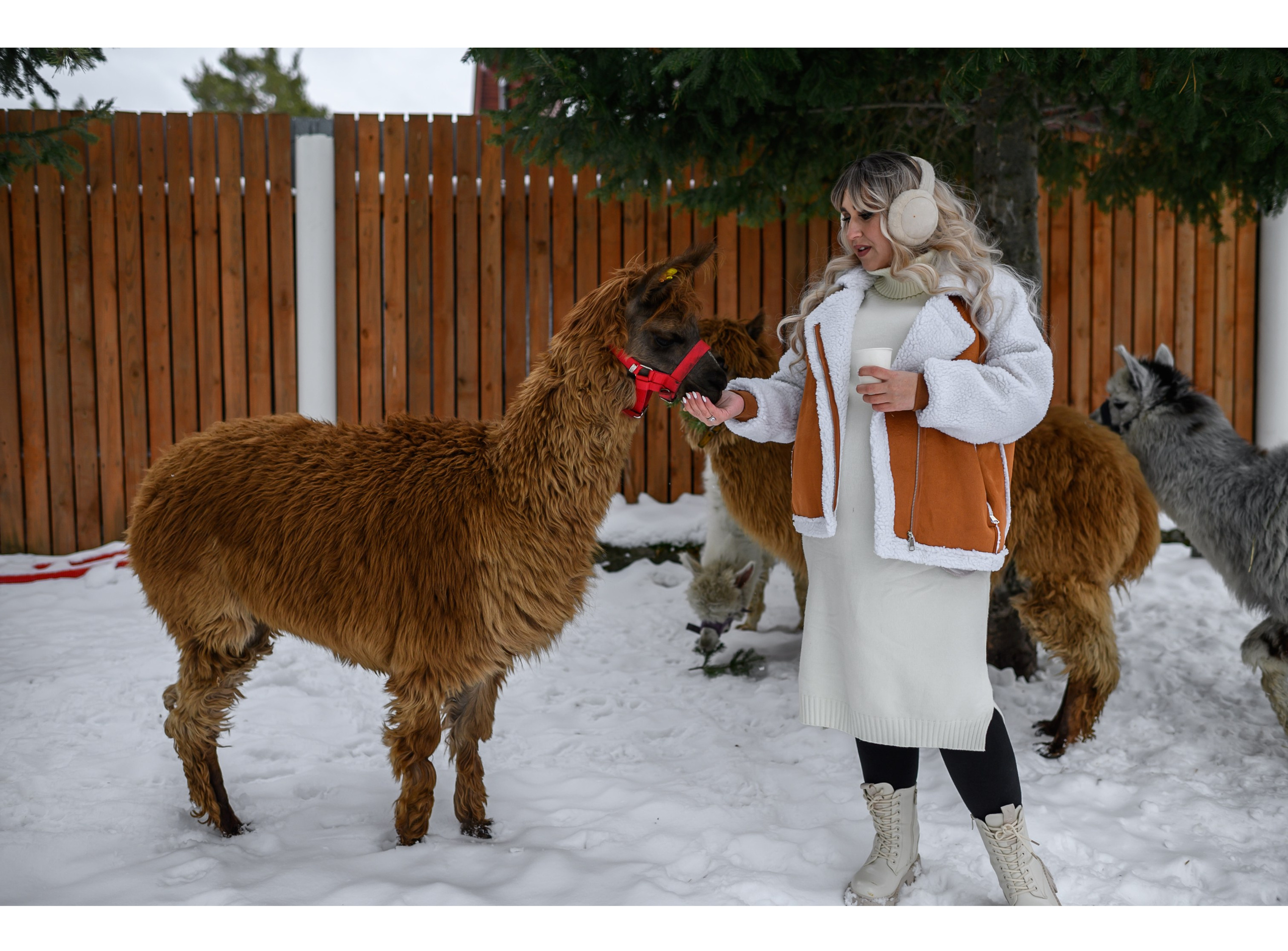 ДО_ПОСЛЕ. Семейный фотограф Екатеринбург Лора Мур