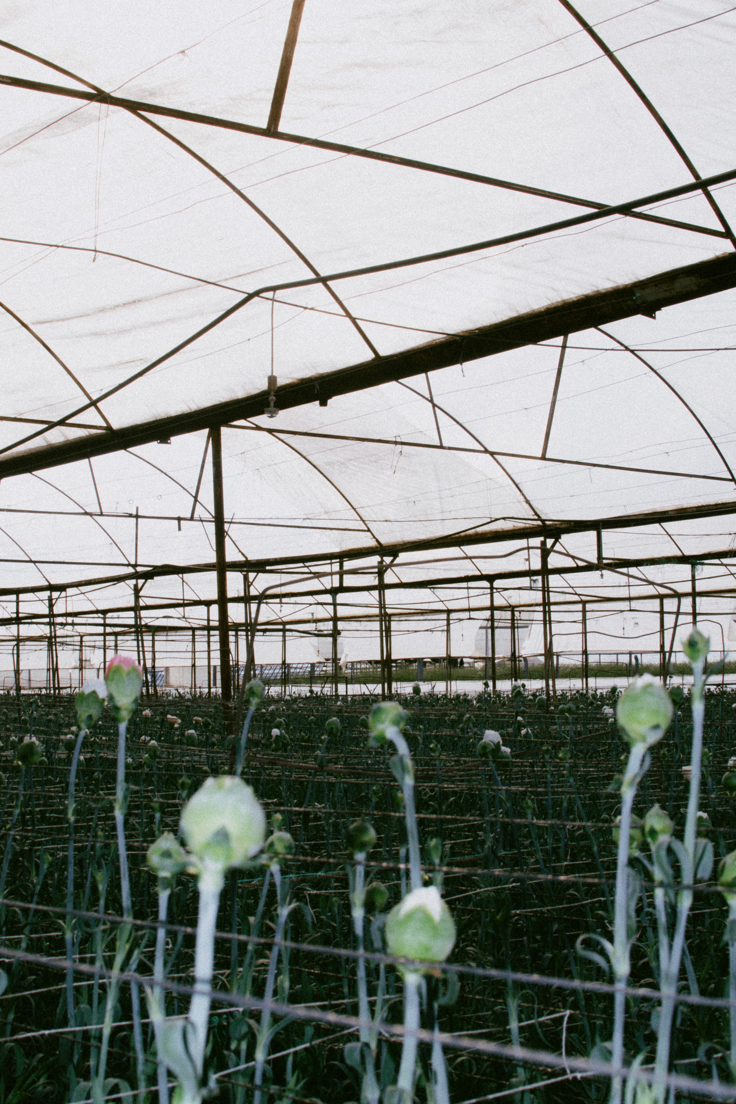 ANTALYA. Маргарита Логай. Фотограф и режиссер в Санкт-Петербурге, Москве, Сочи