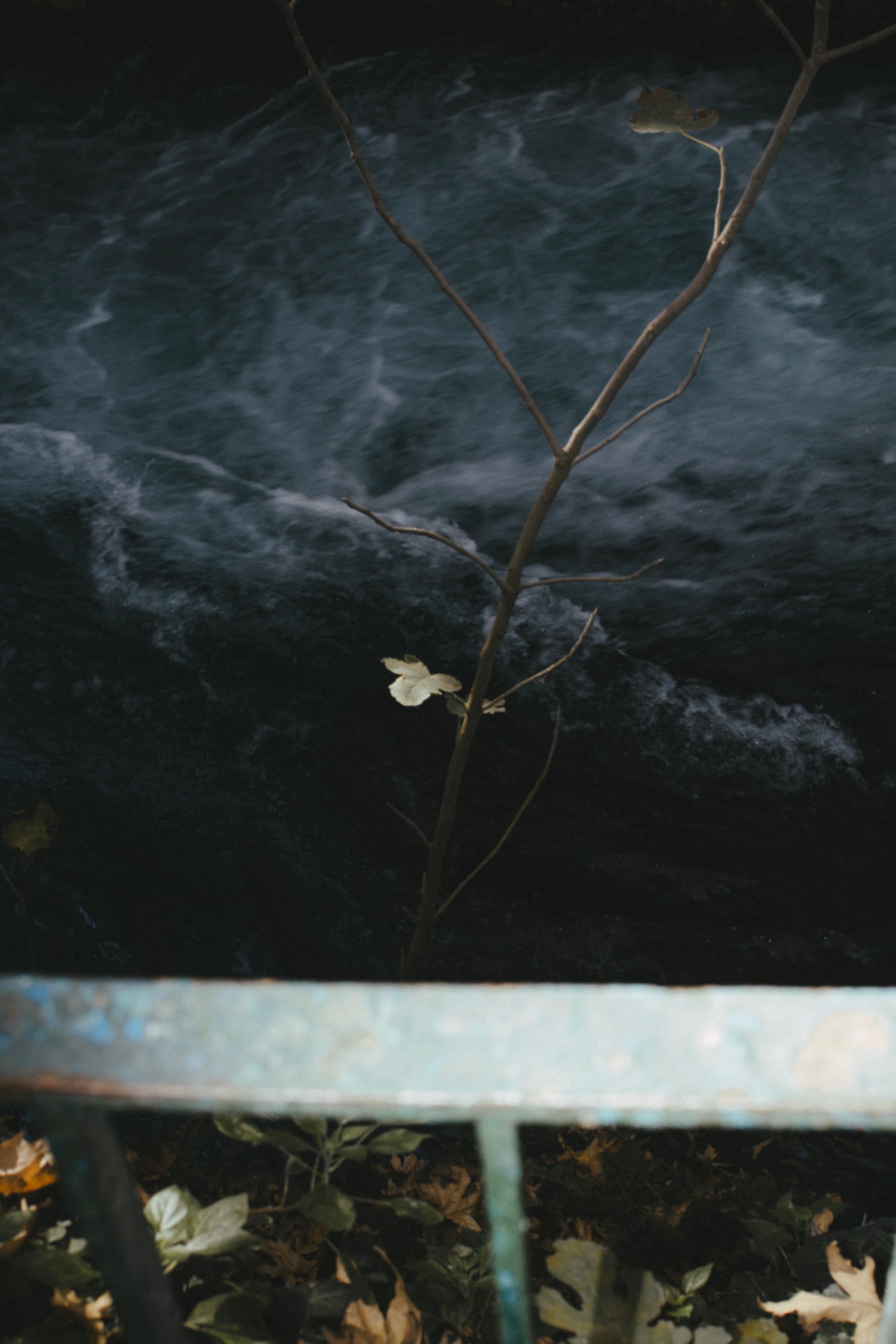 ANTALYA. Маргарита Логай. Фотограф и режиссер в Санкт-Петербурге, Москве, Сочи