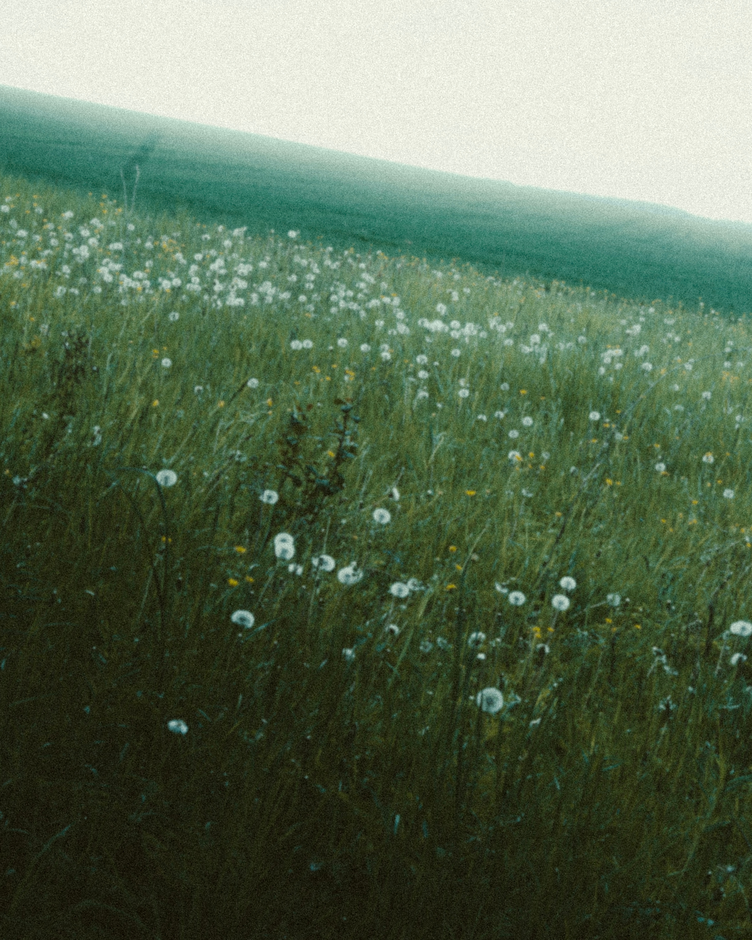 DIARY (2023). Маргарита Логай. Фотограф и режиссер в Санкт-Петербурге, Москве, Сочи