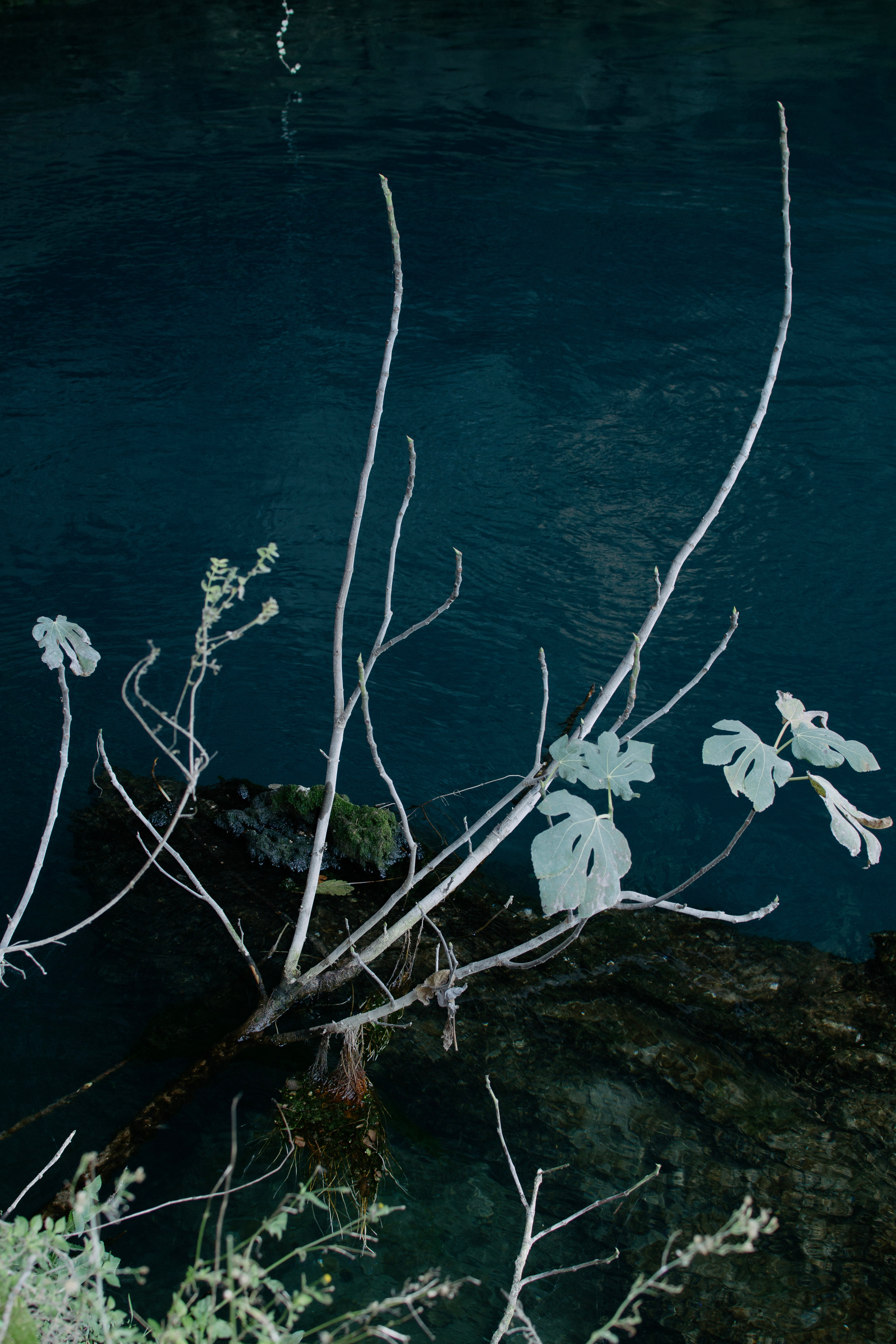 ANTALYA. Маргарита Логай. Фотограф и режиссер в Санкт-Петербурге, Москве, Сочи