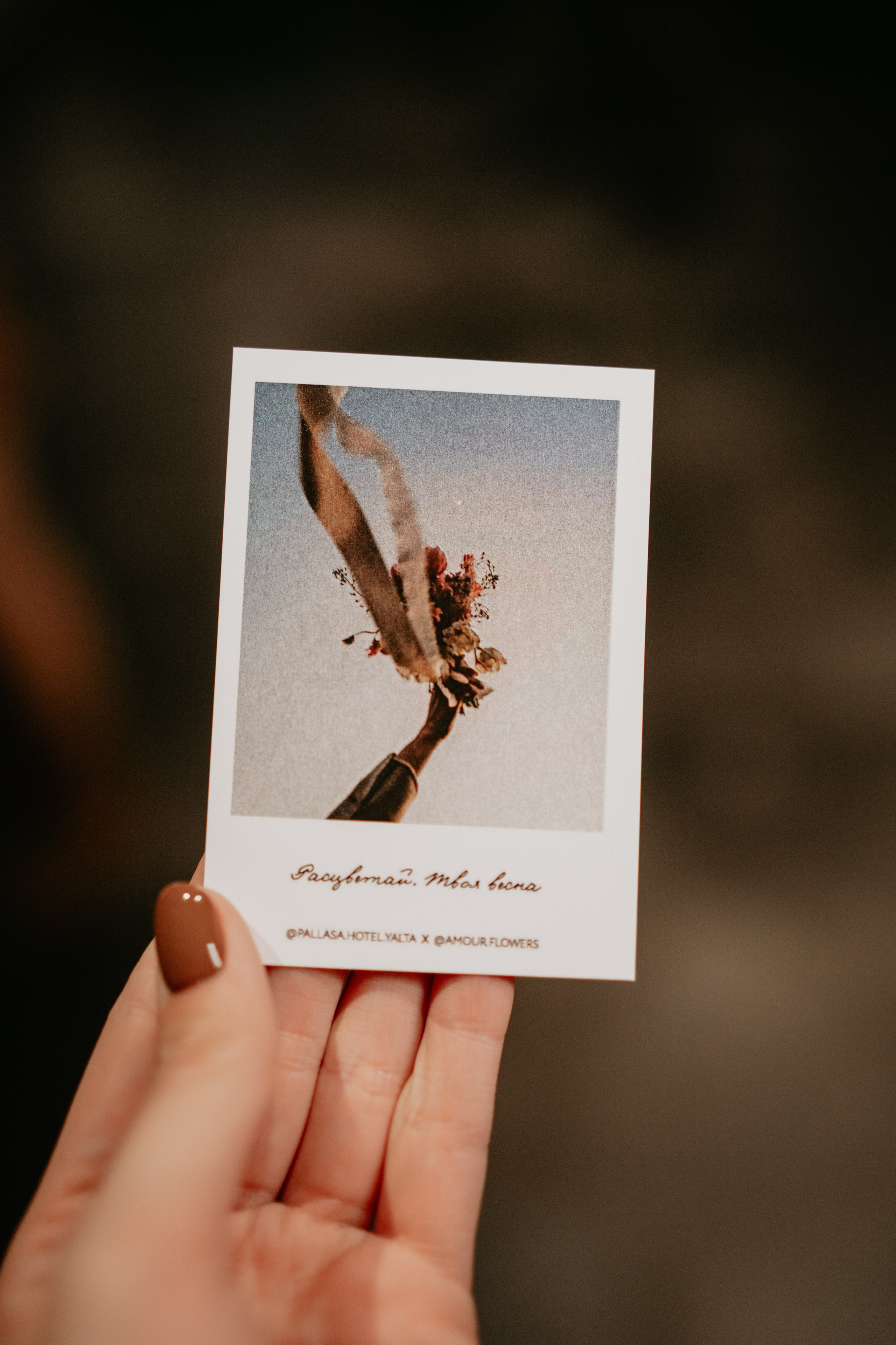 Ужин в Modus. Фотограф и Видеограф Севастополь Крым