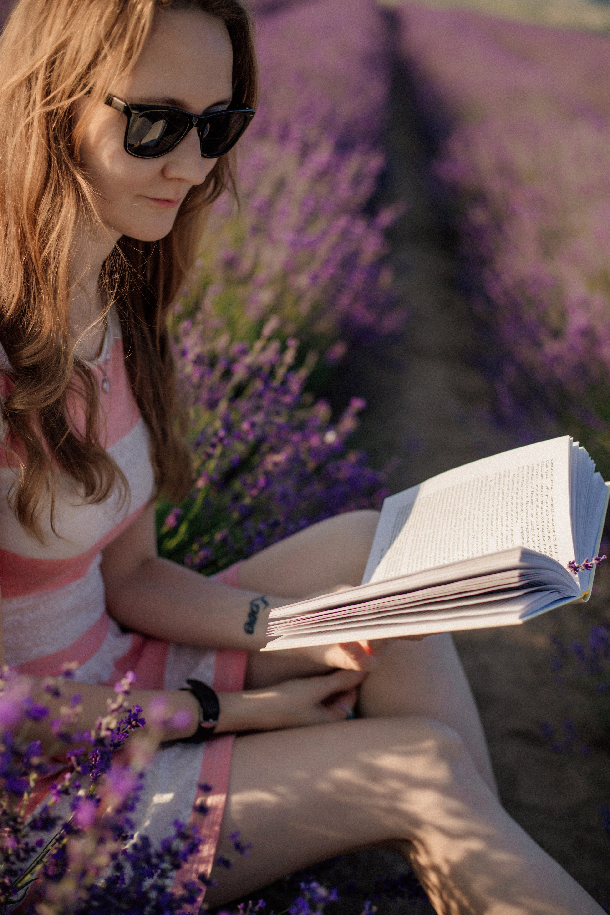 Лаванда. Фотограф и Видеограф Севастополь Крым