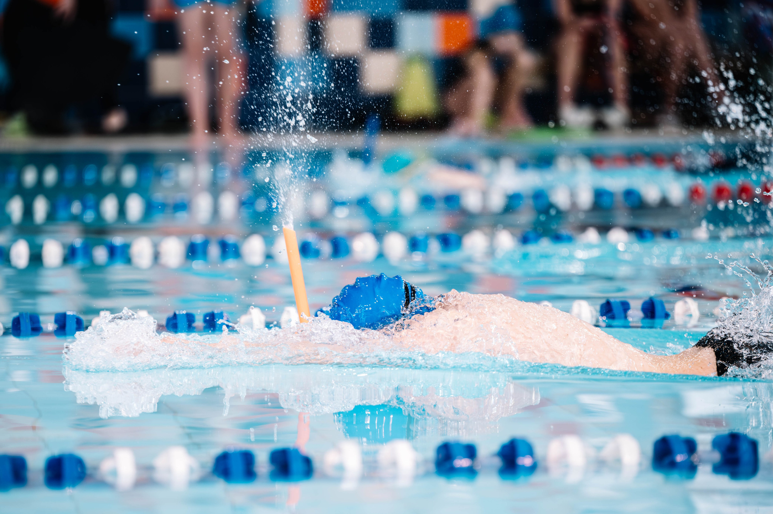 Первый этап кубка плавания, Дельфин. Октябрь, 2024. Спортивный фотограф в Туле и Тульской области. Файсханова Фото Спорт