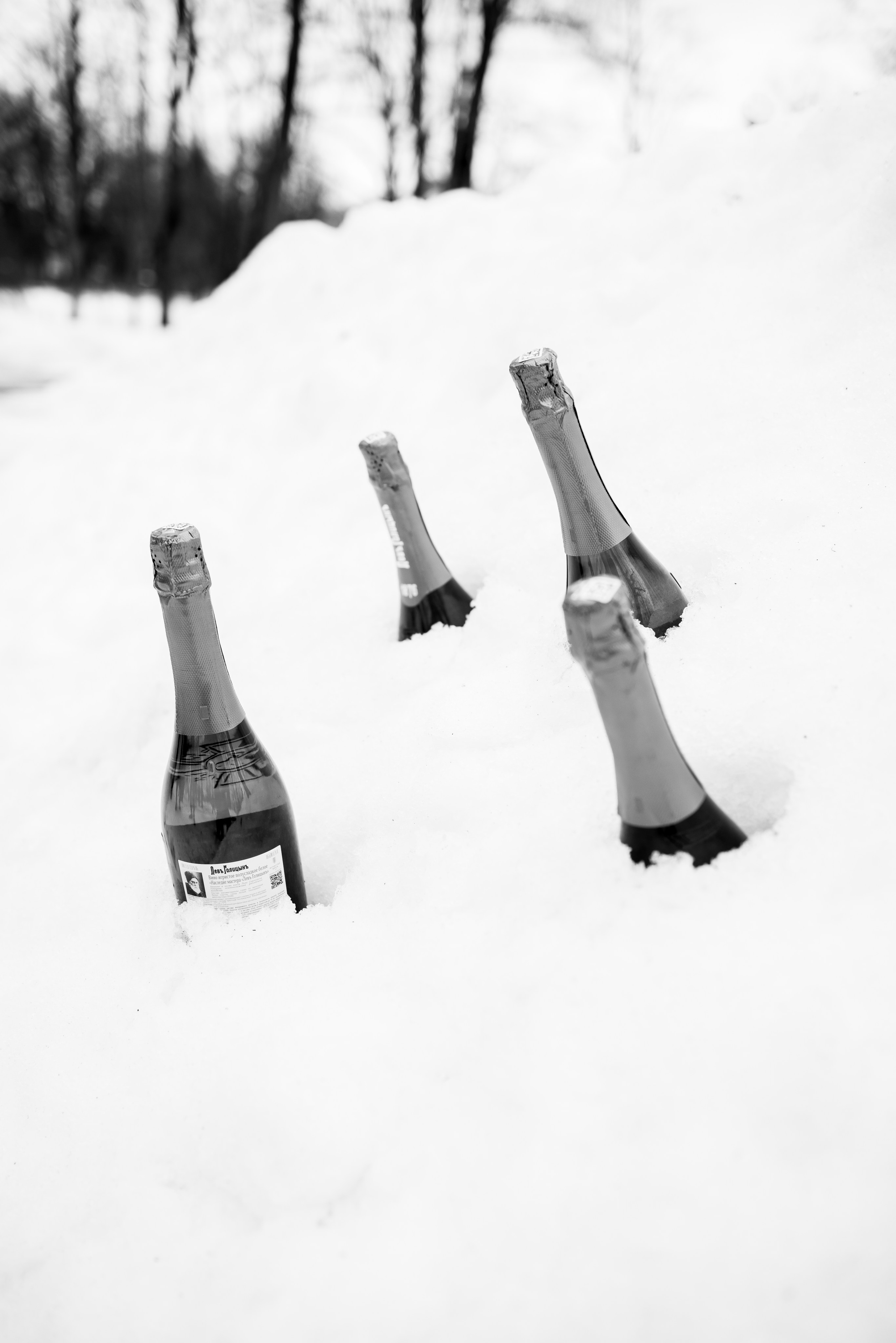 Дарина и Никита. Свадебный фотограф Иван Петров