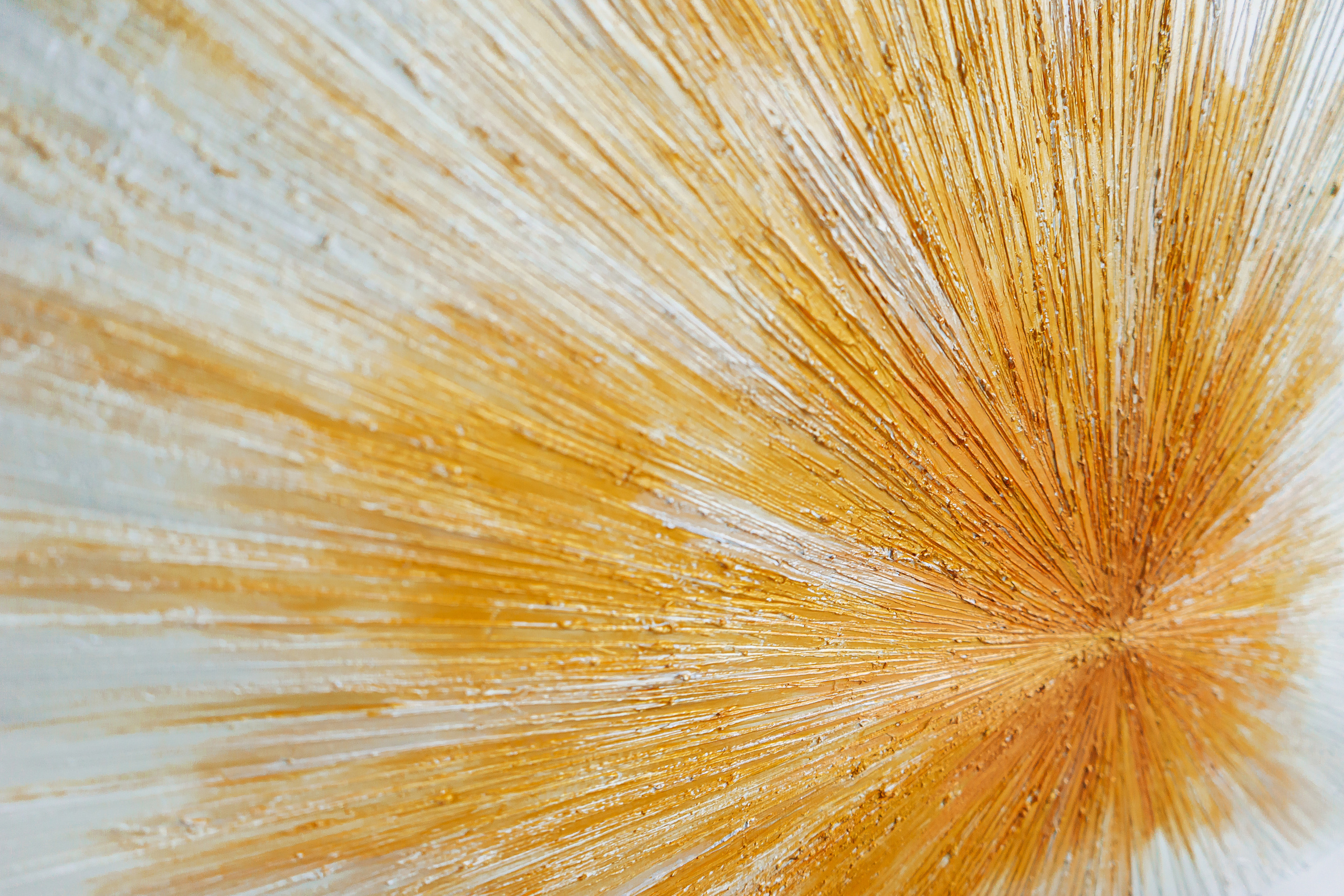 Фотосъёмка для соцсетей. All In Media — фотосъёмка и видеопродакшн