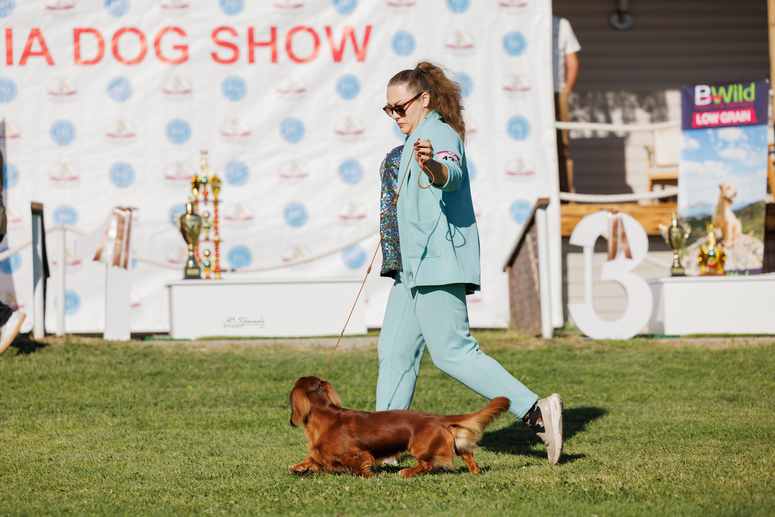 Ереван 14-16.10.2025. Фотограф-анималист Юлия Германика