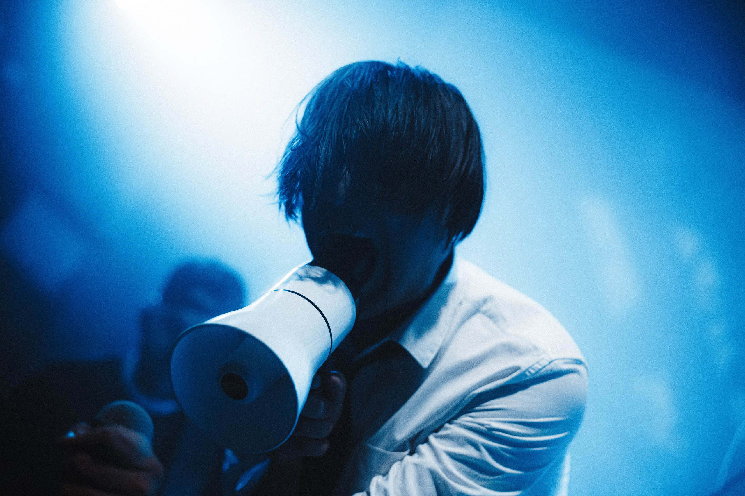 WITNESS EFFECT | 19.04.25 | Ласточка