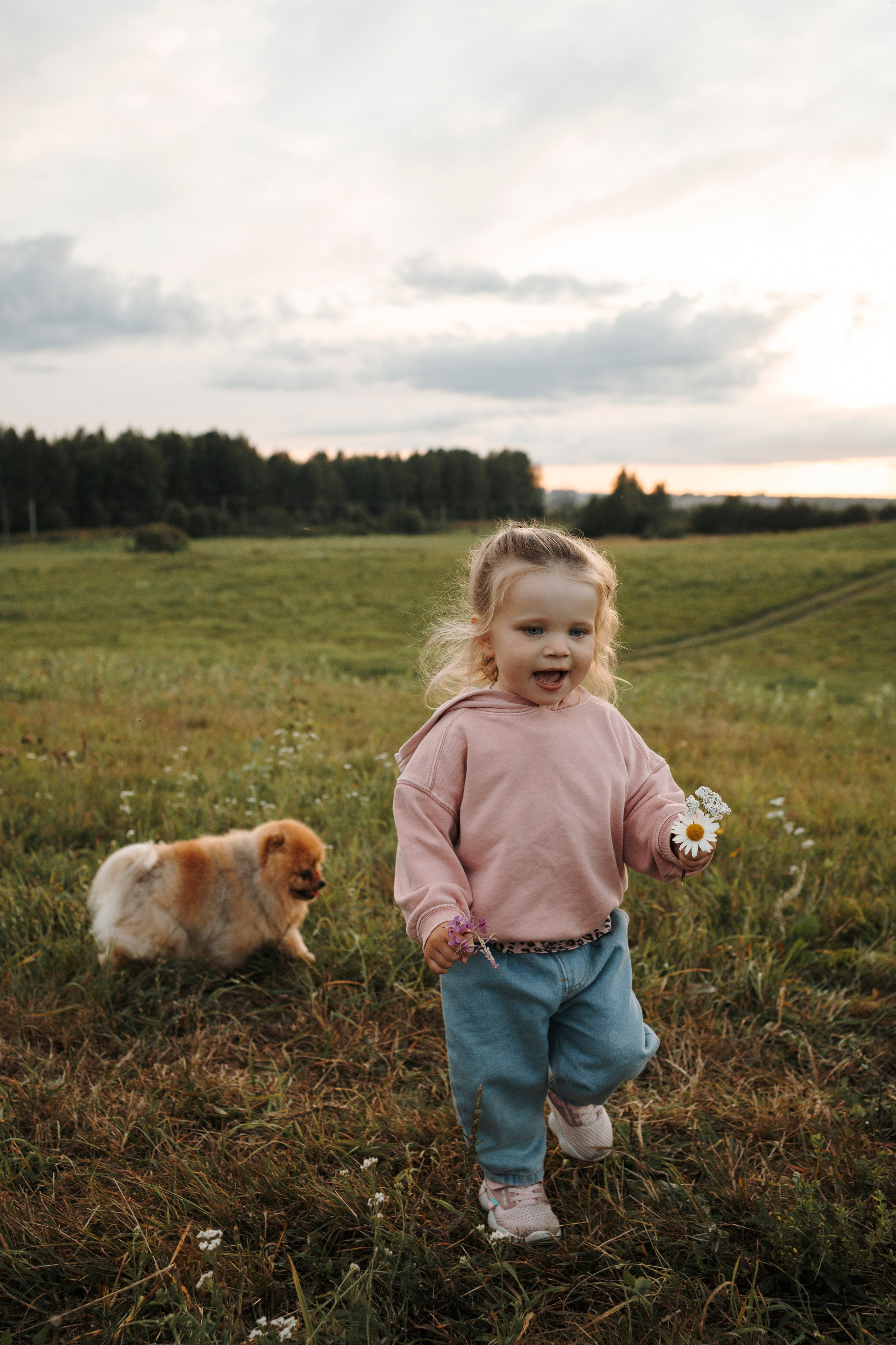 На закате Катерина, Луна и Рикки. Фотограф-анималист в Санкт-Петеребурге Титова Алиса