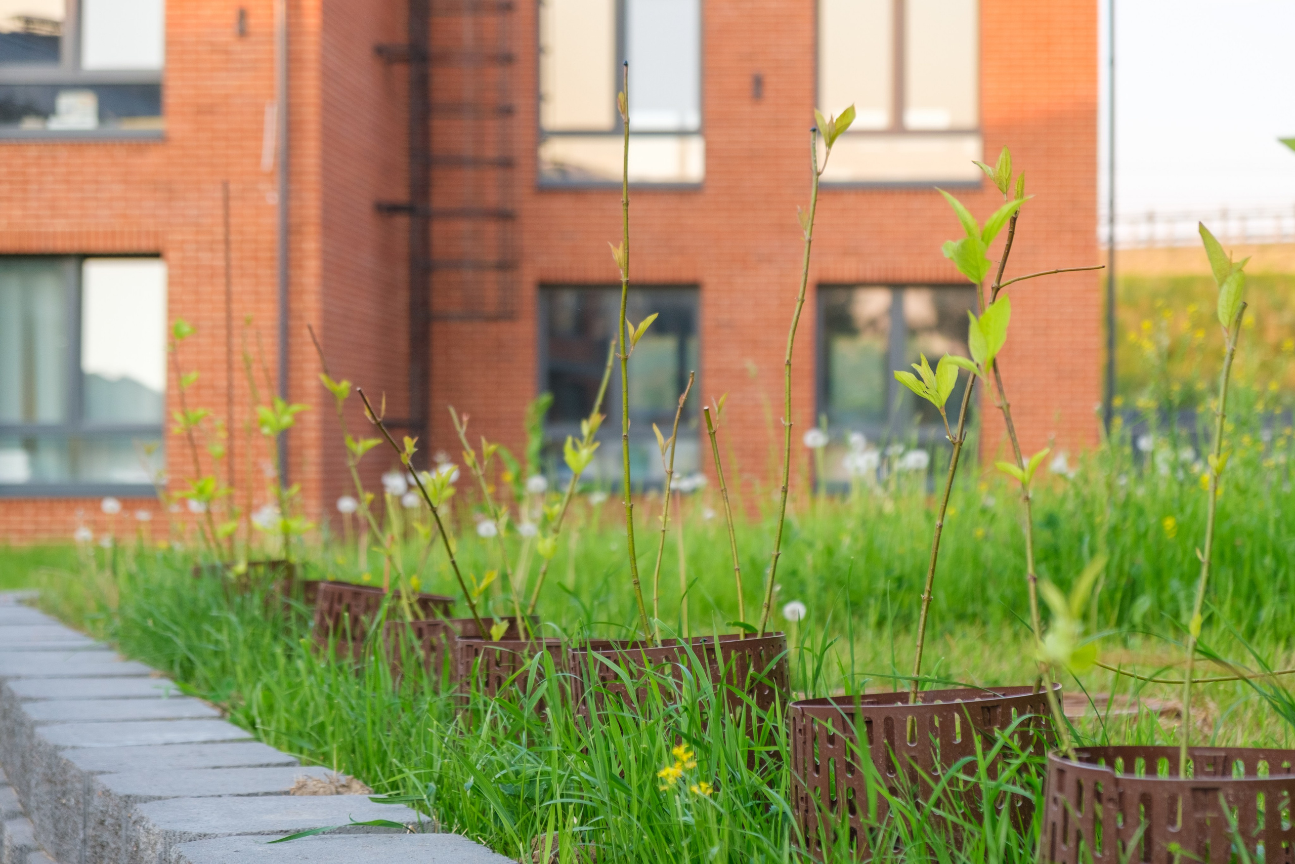 Архитектурная фотосъёмка коттеджного посёлка