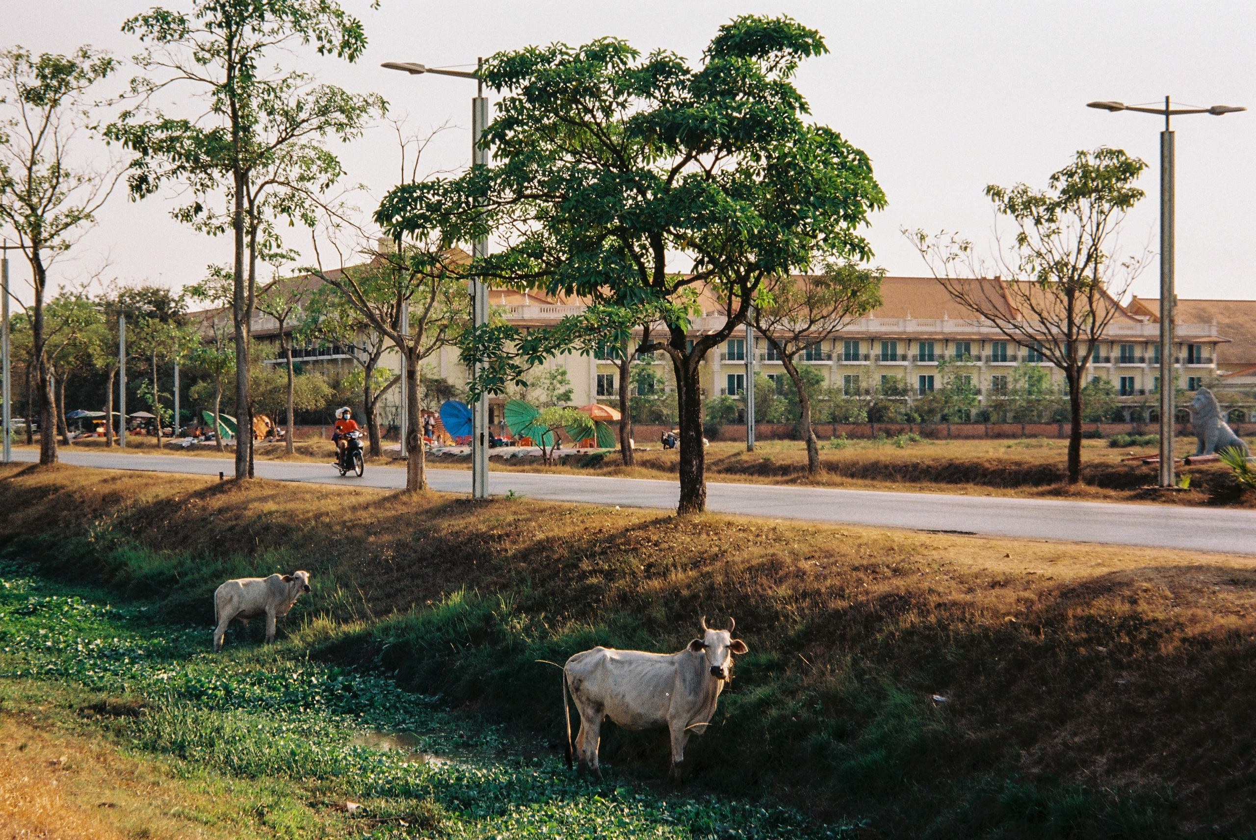 Travel. Фотограф Маша Новодережкина