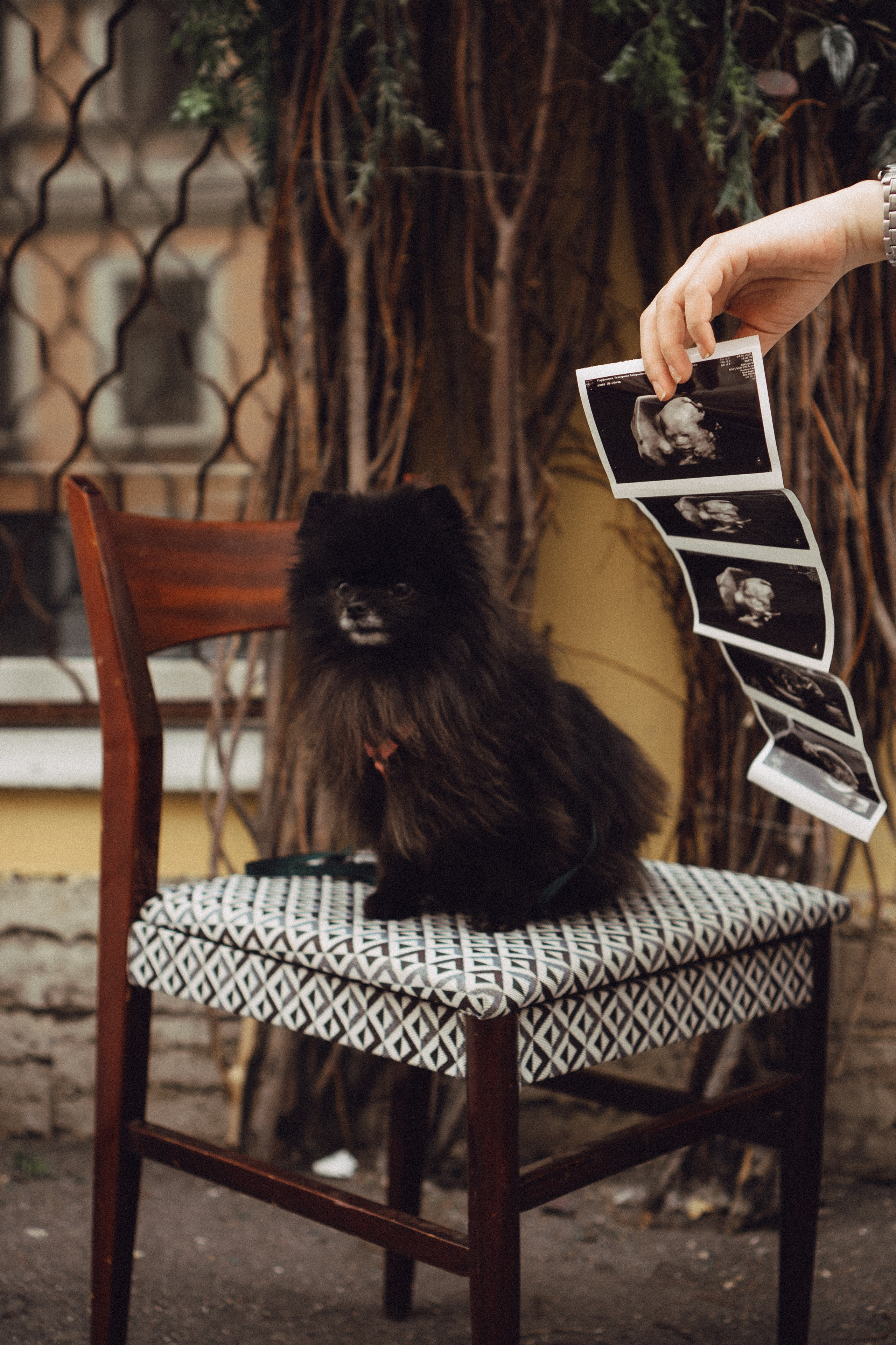 Беременность (только часть фото по желанию клиентов могу показать)). Профессиональный фотограф, Санкт-Петербург — Виктория Богомолова