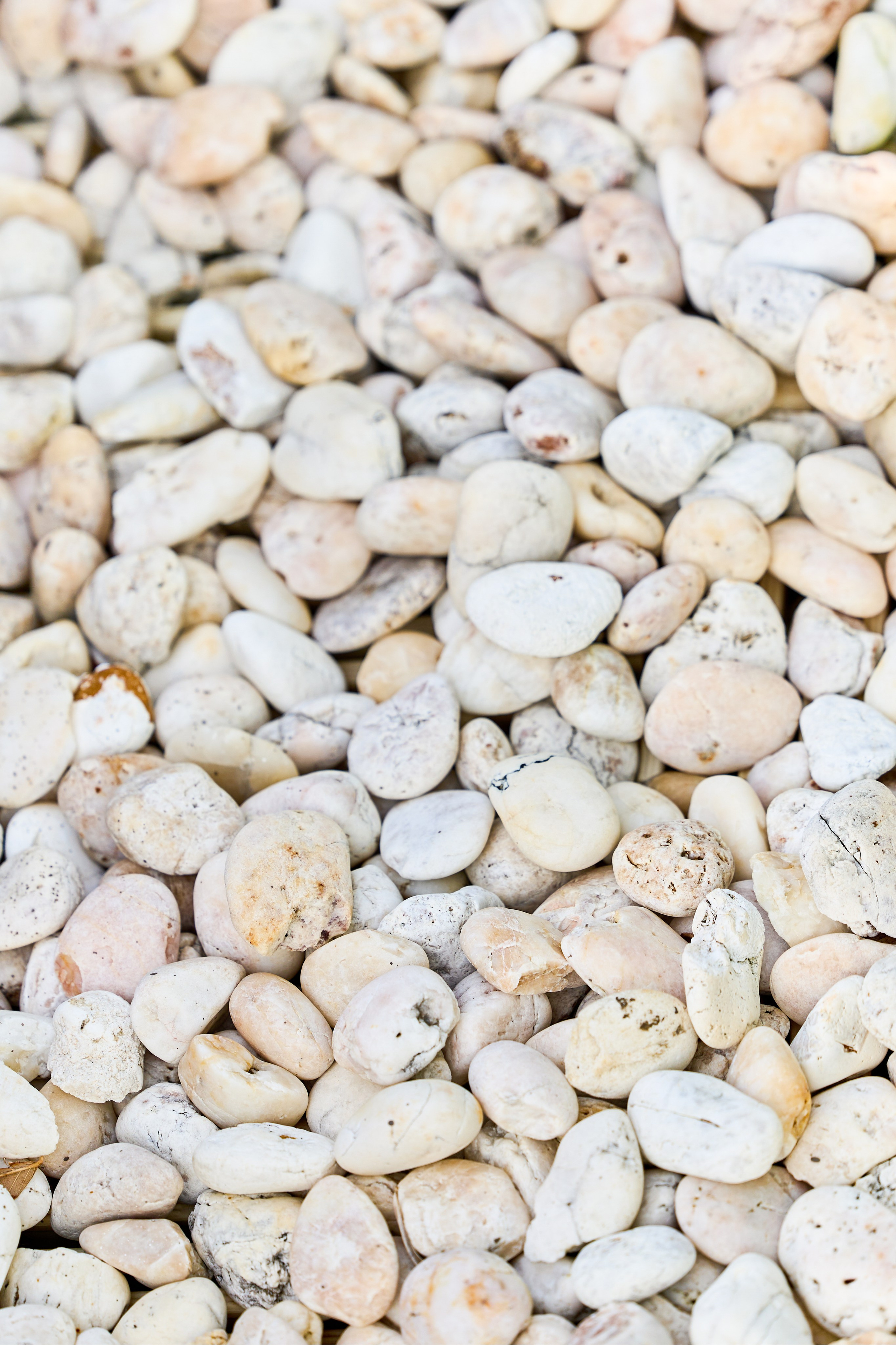 Villa Nation. Kharchenkotatianaweddingphoto