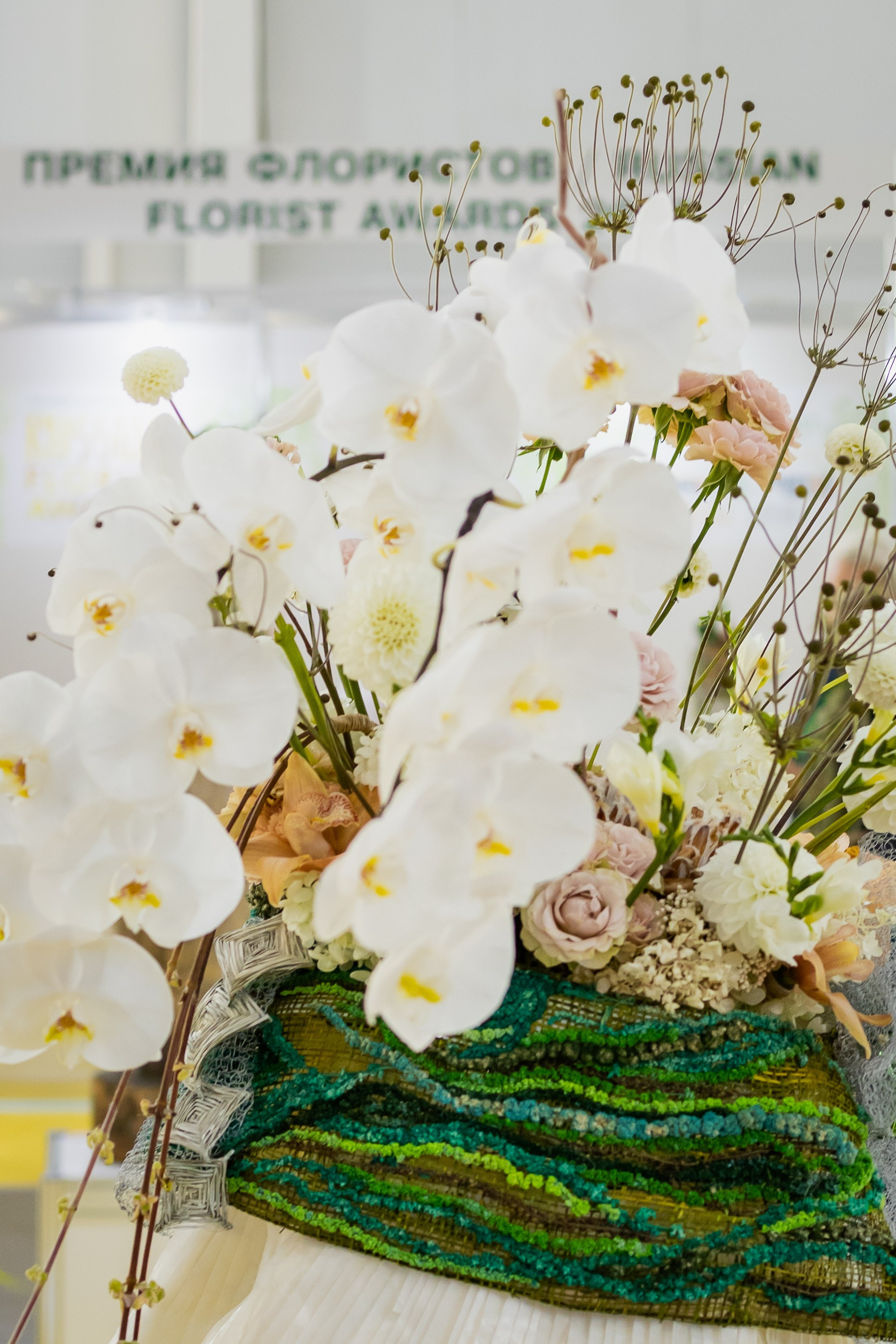 Цветы-Экспо 2025. Фотосессии и репортаж — Фотограф в Москве — Рина Серёгина