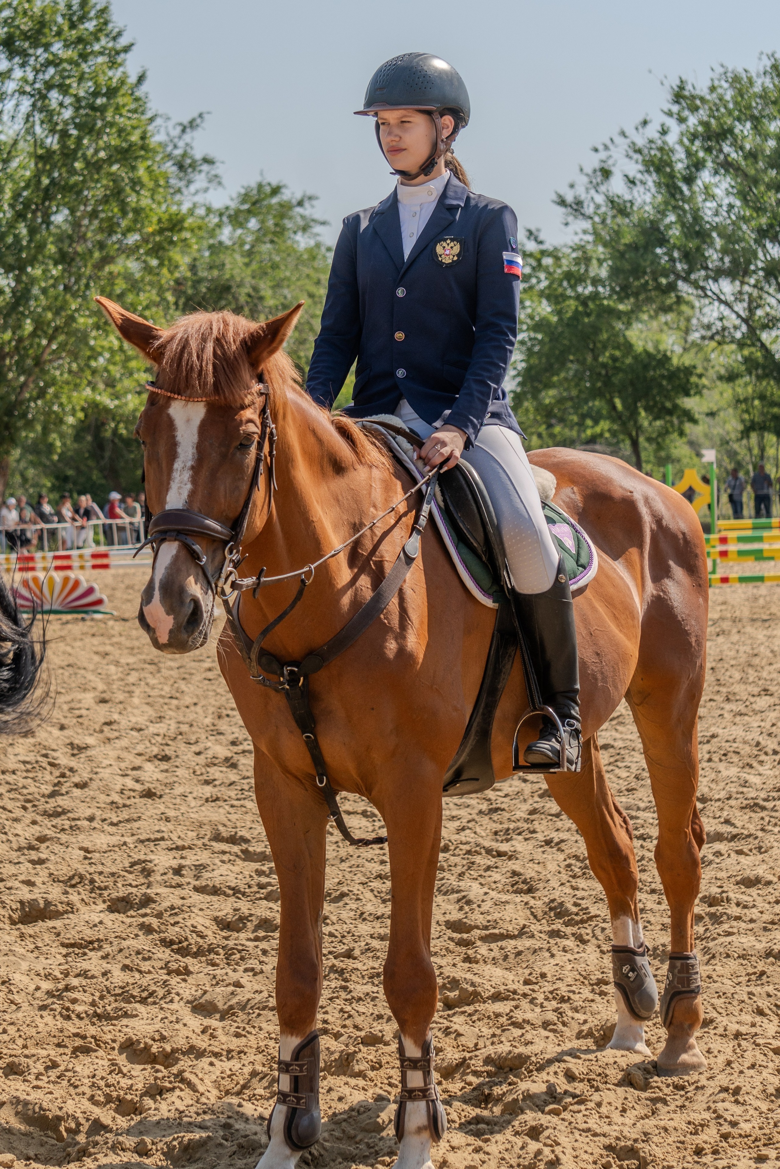 лошадь со всадником стоят на ипподроме во время торжественной части