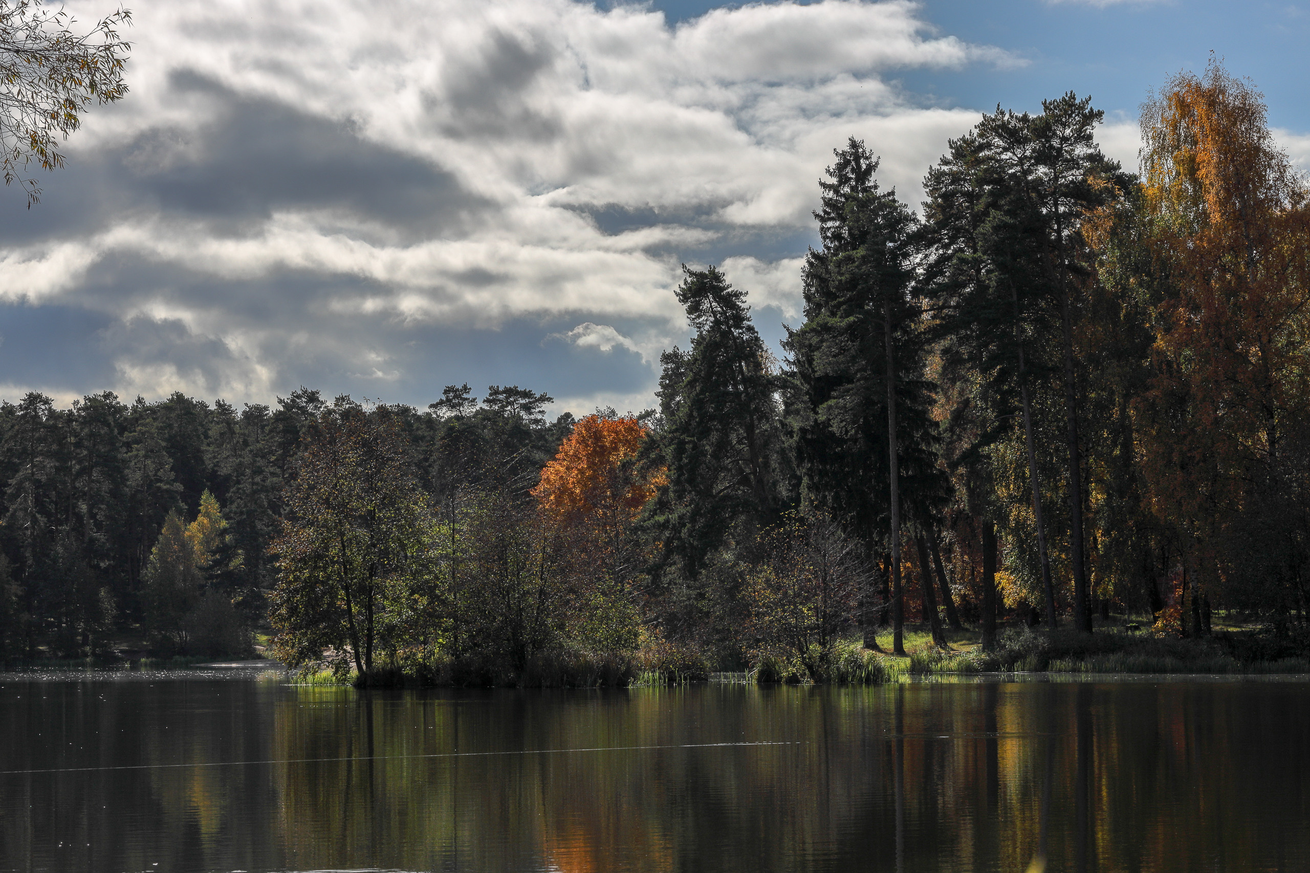 Красивый свет осенью на озере Кратово