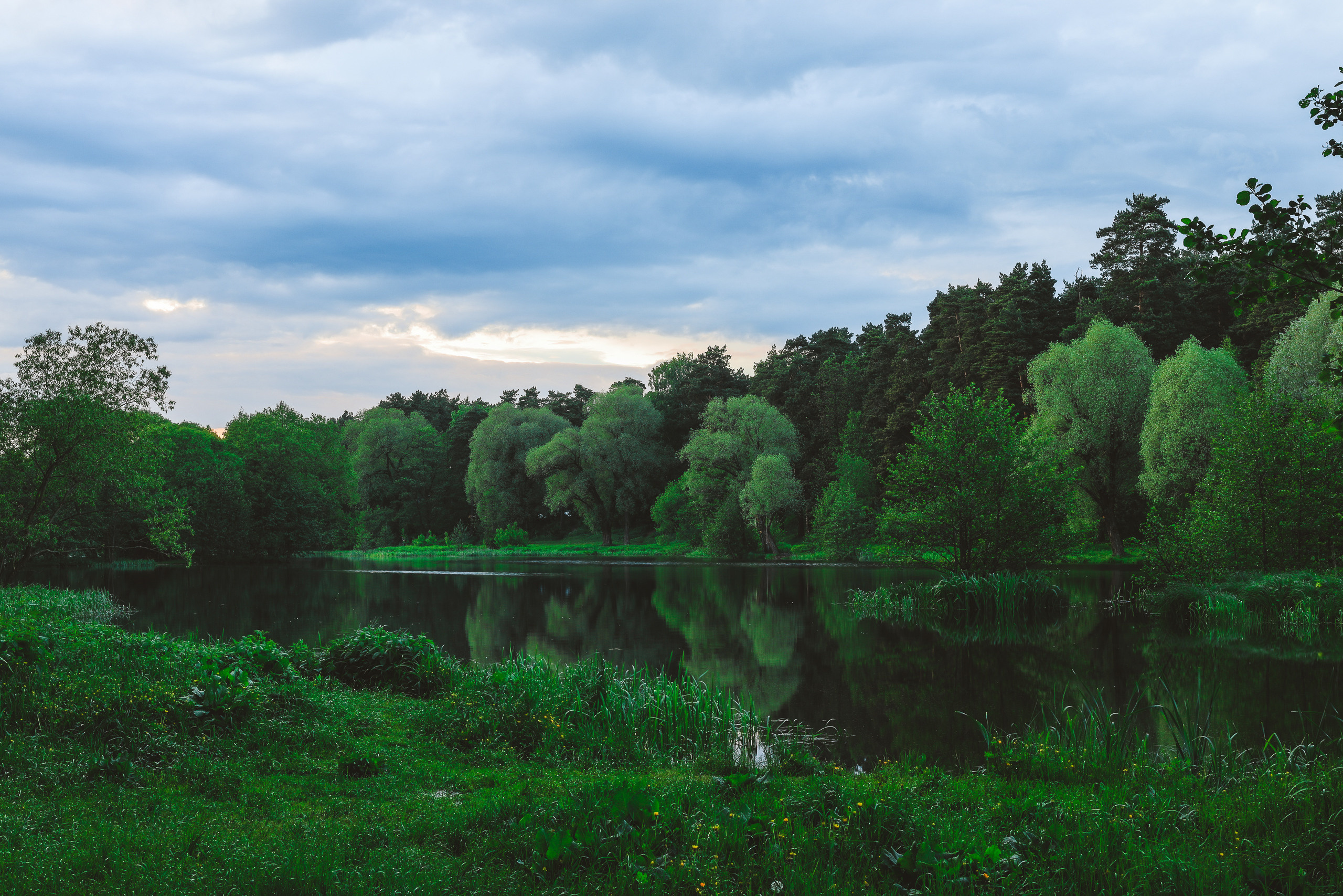 Озеро Кратово летом