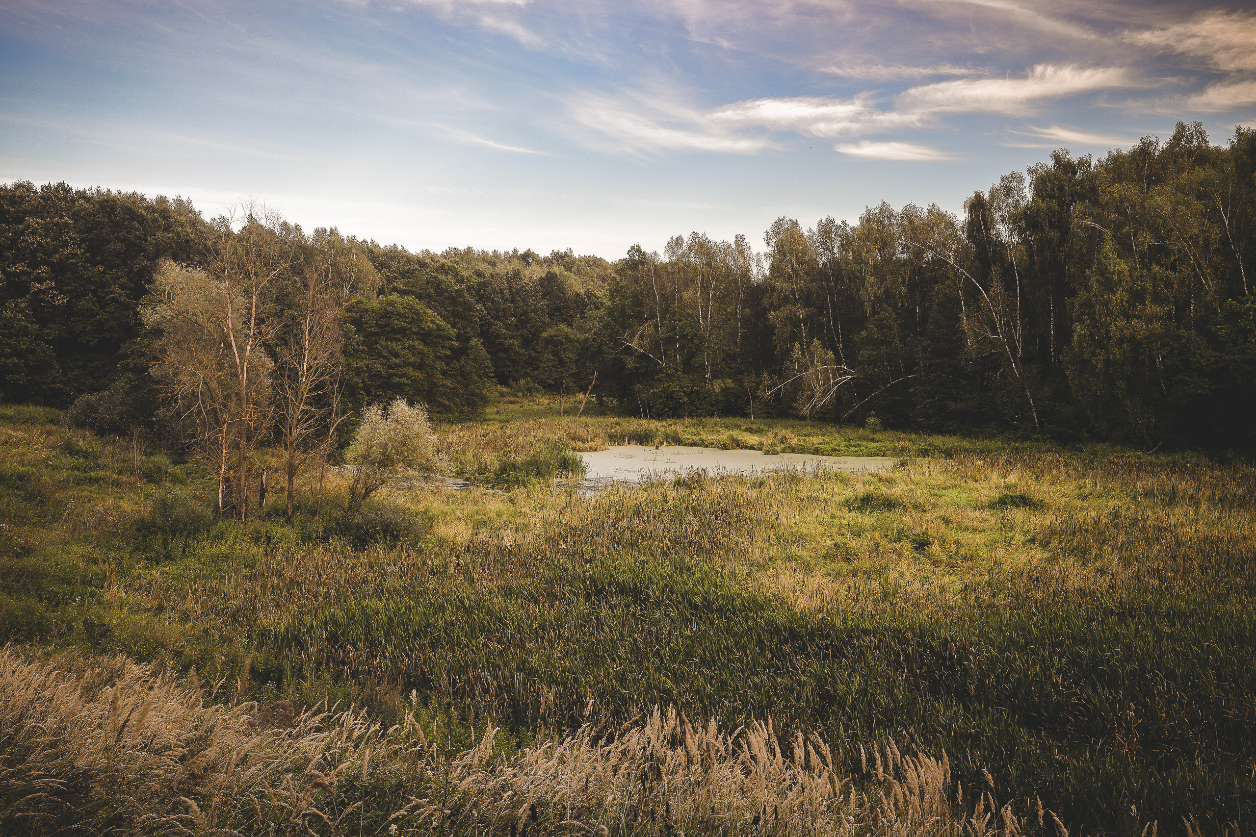 В последний день лета на реке Жданке