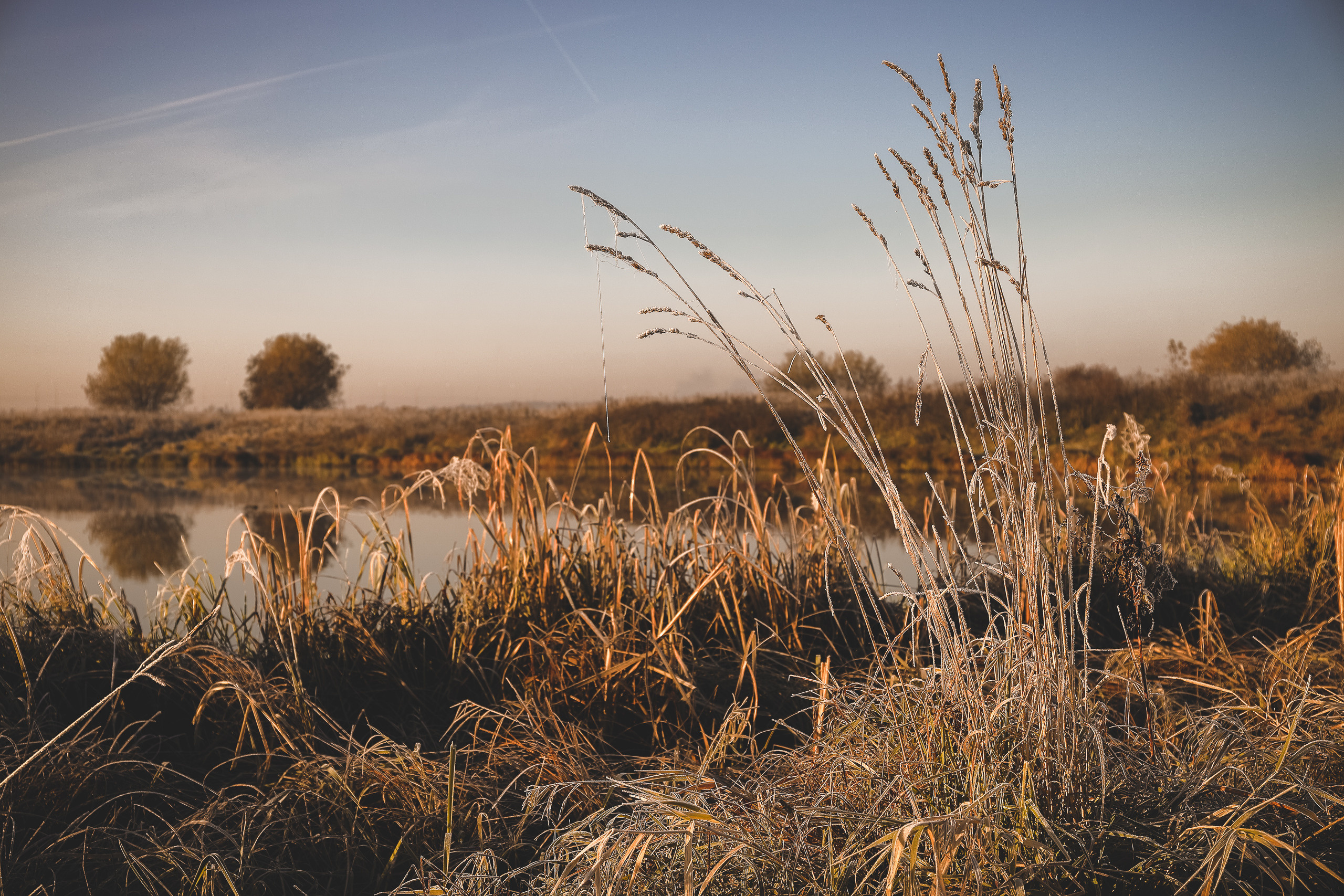 Туманное осеннее утро на реке Быковка