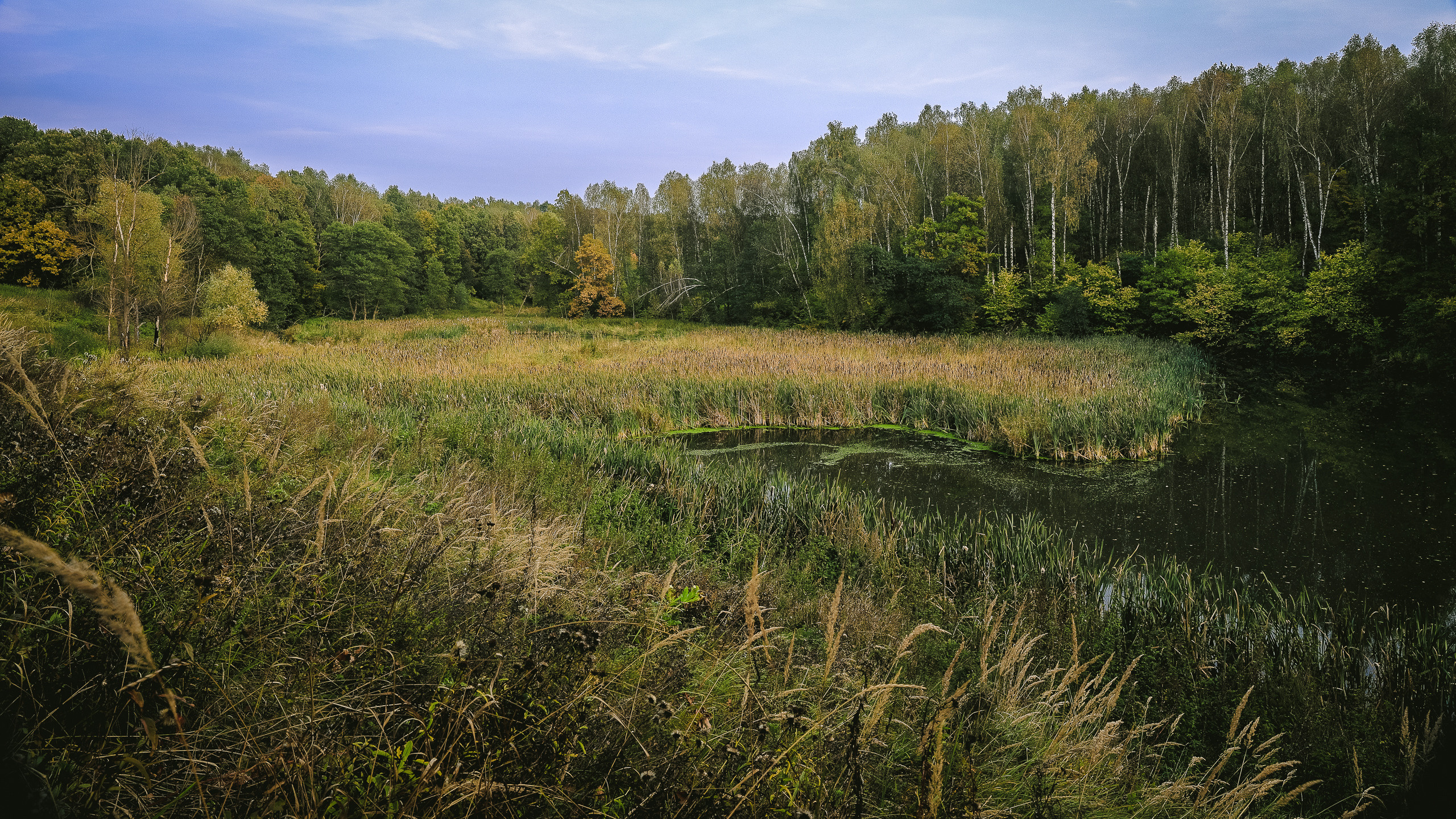 Бабье лето на реке Жданка, с большим количеством деталей, как на переднем, так и заднем плане
