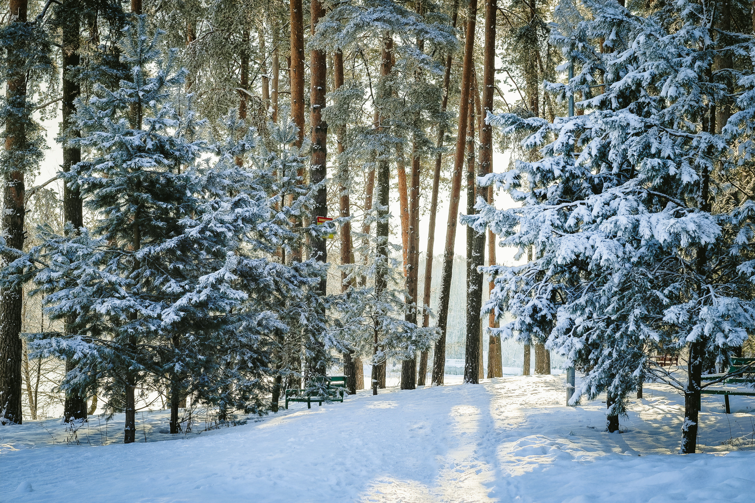 Красивая зима в Кратово. Зимний пейзаж