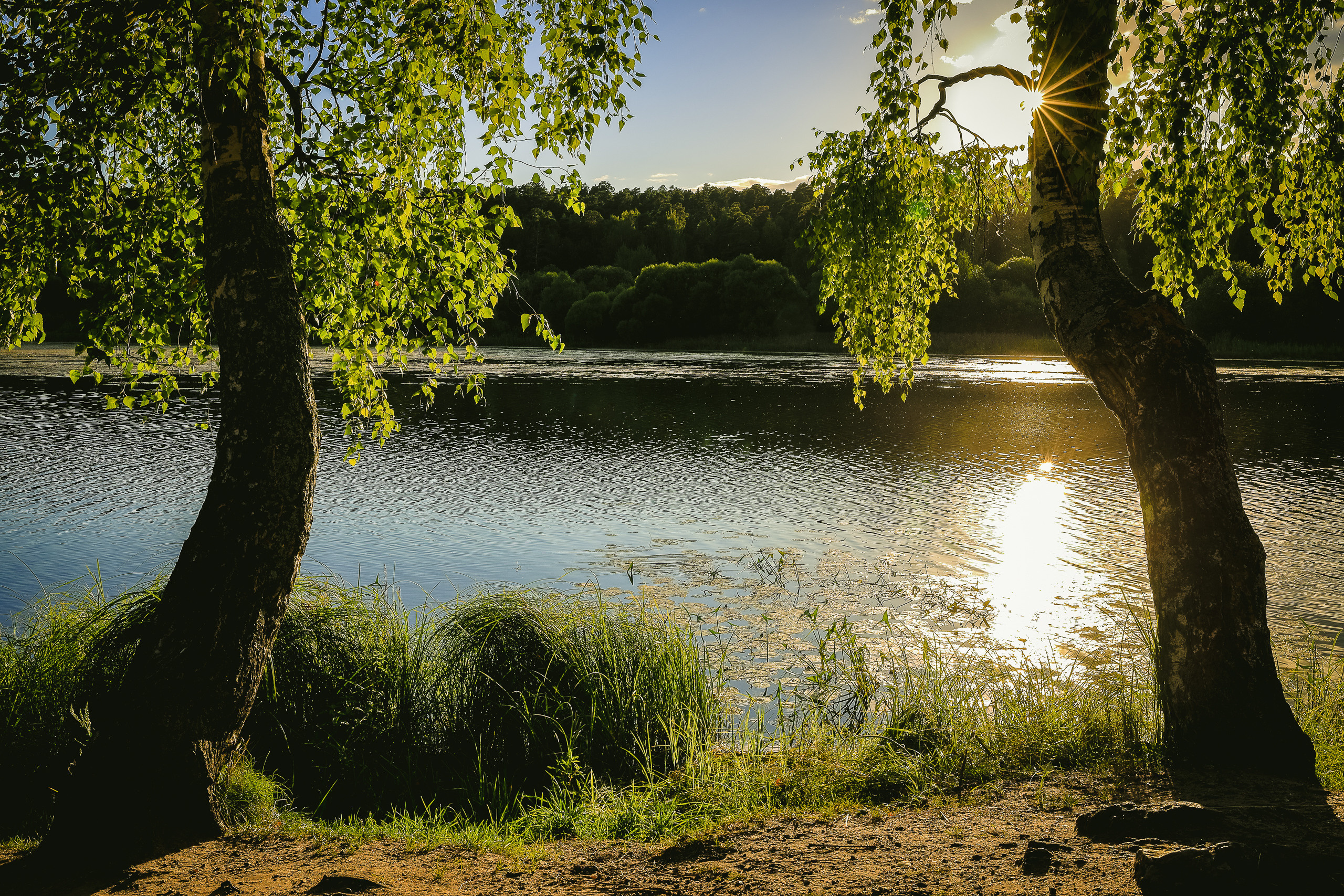Летний закат на реке Кинешемка. Красивый контровой свет от заходящего Солнца