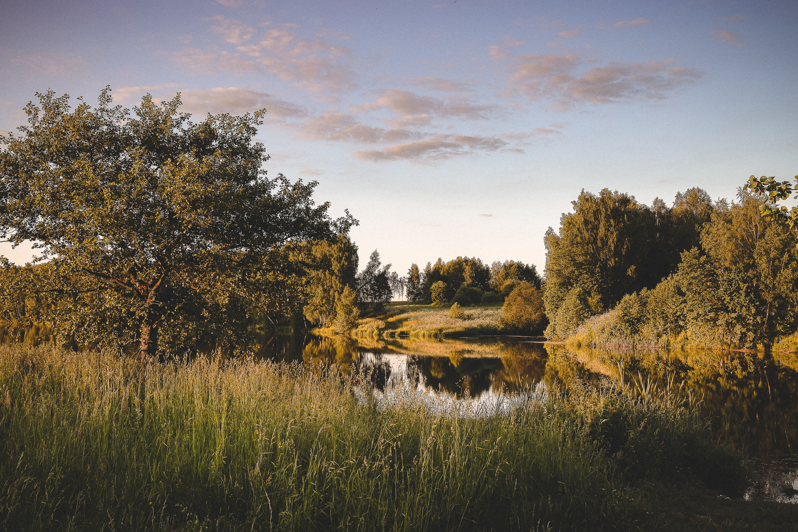 Вид теплым летним вечером на реку Жданка в Подмосковье