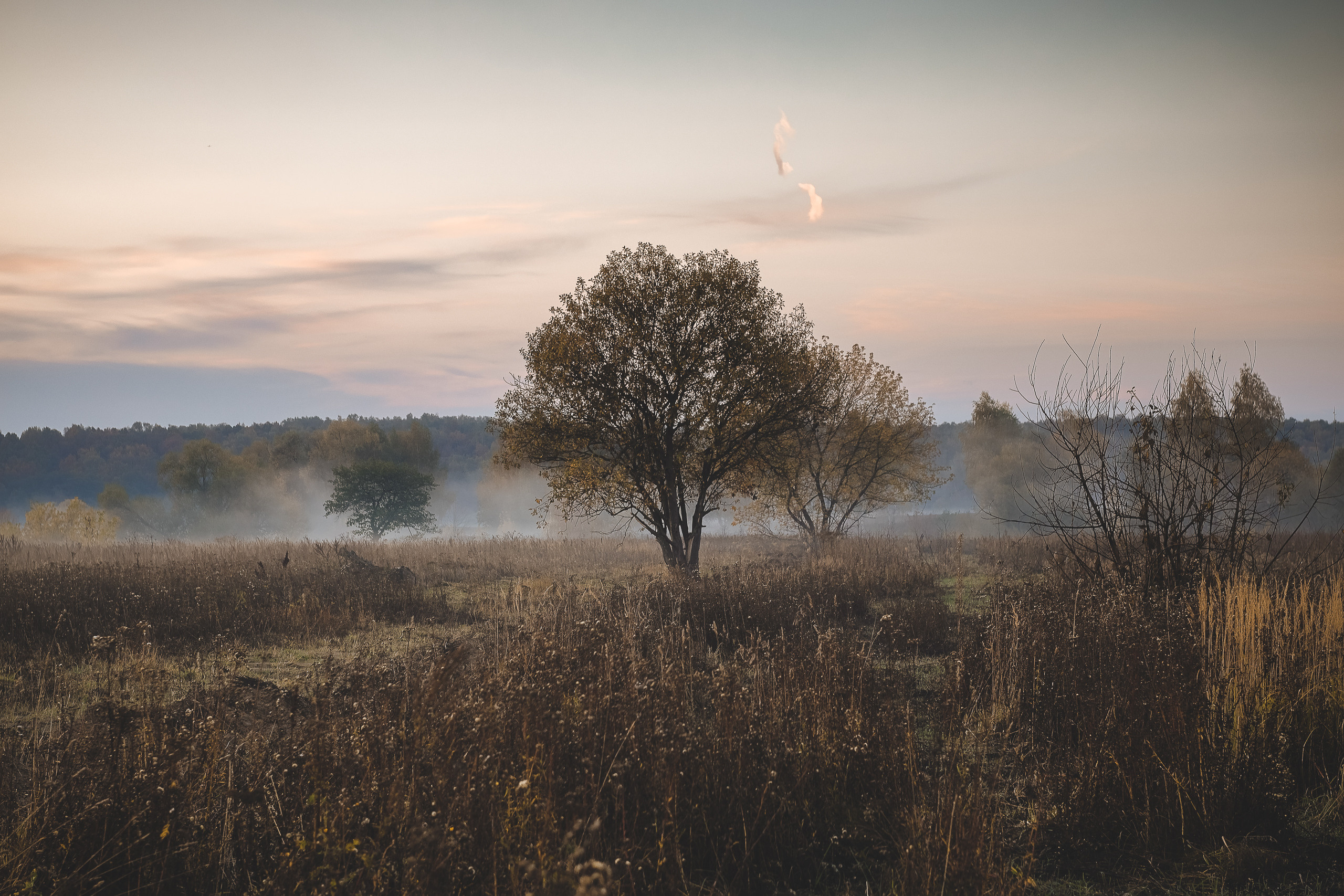 Красивые осенние картинки с туманом, добавляющим сцене загадочности