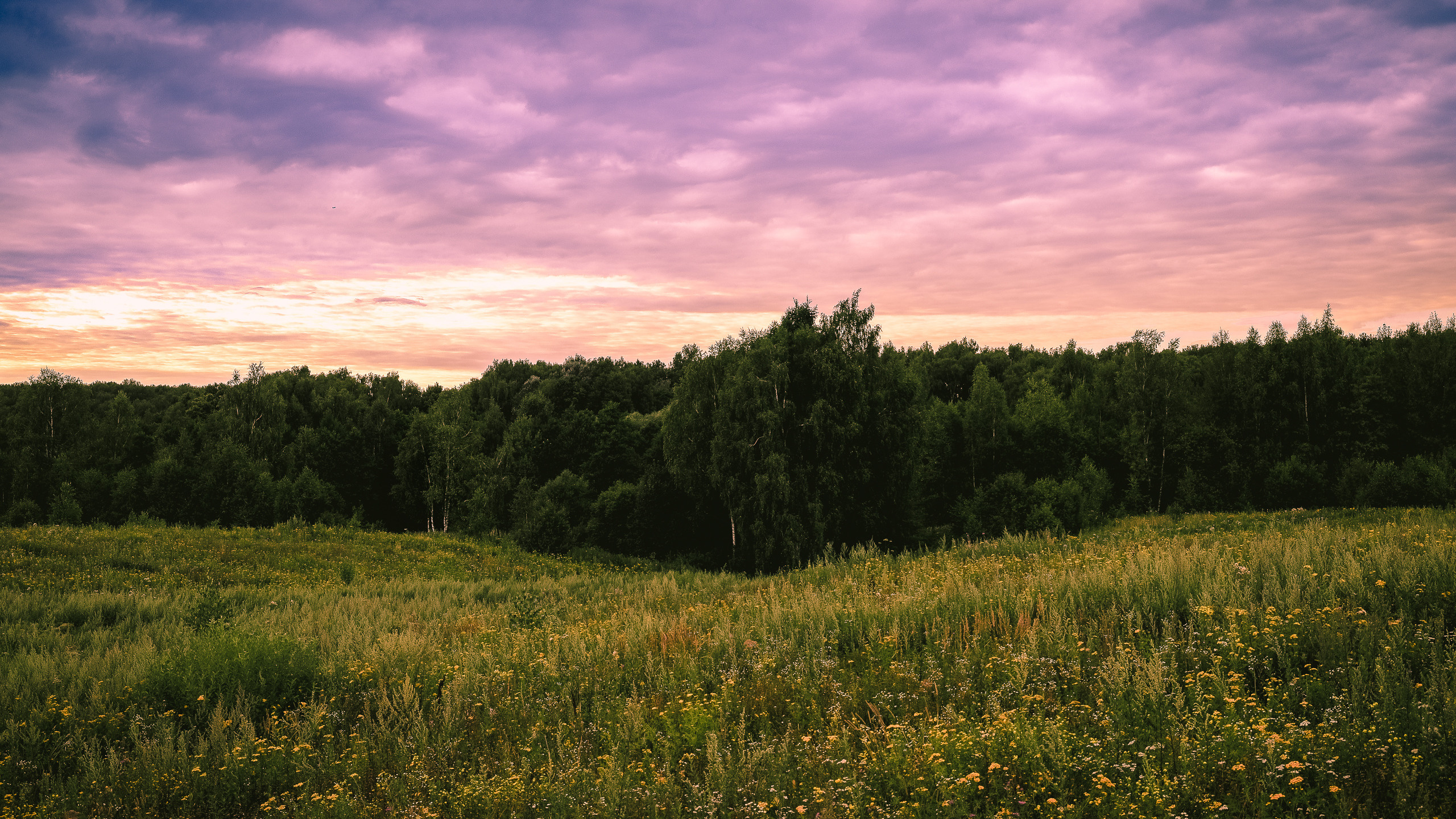 Подмосковный пейзаж