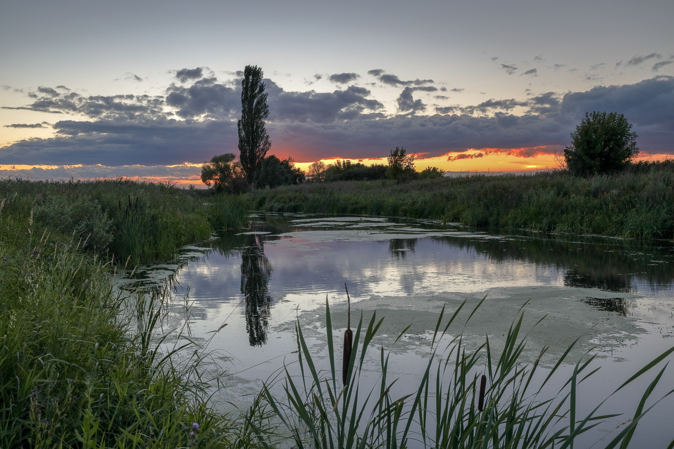 Летний закат на реке Быковка. Авторская фотография