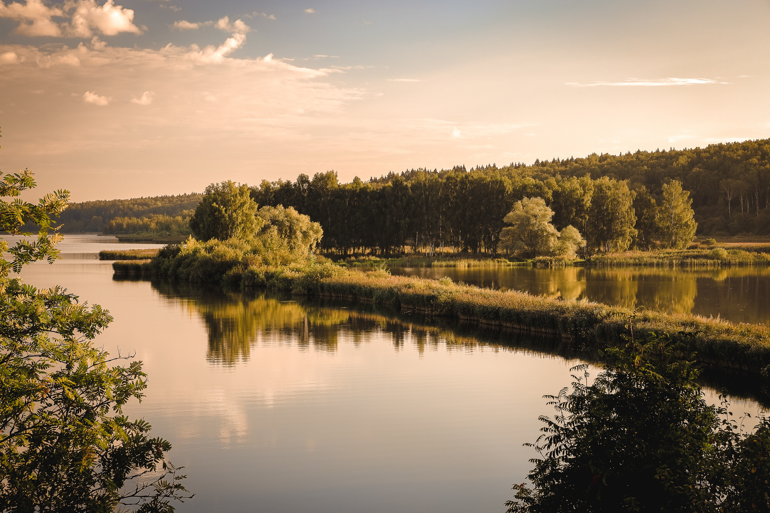 Озеро Сенеж летним утром