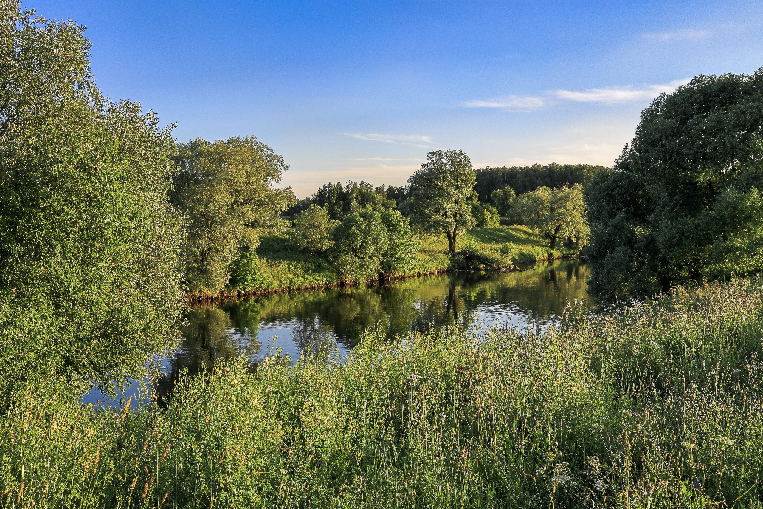 Летний Подмосковный пейзаж. Река Пахра