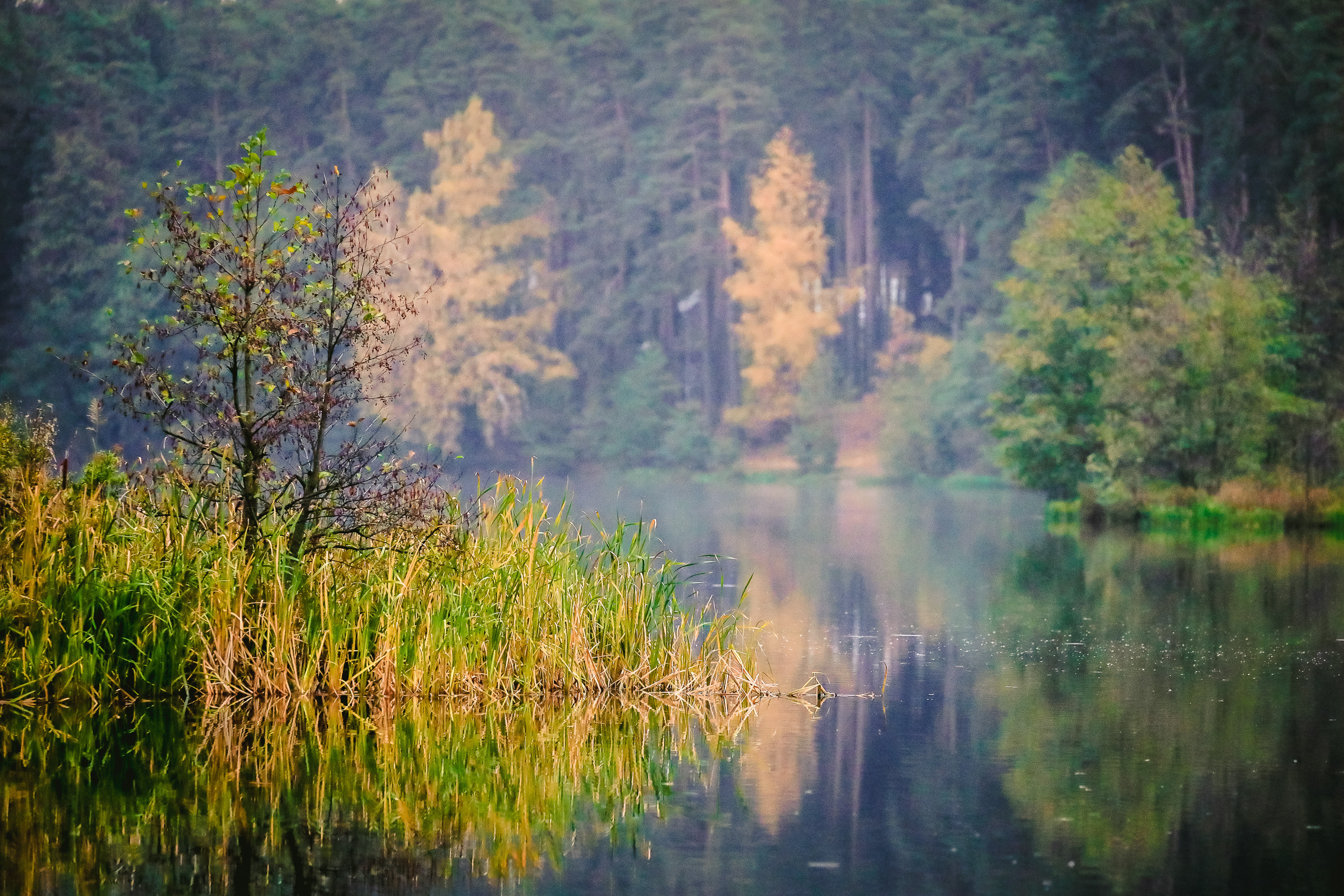 Яркие осенние краски в снимке островка на озере Кратово