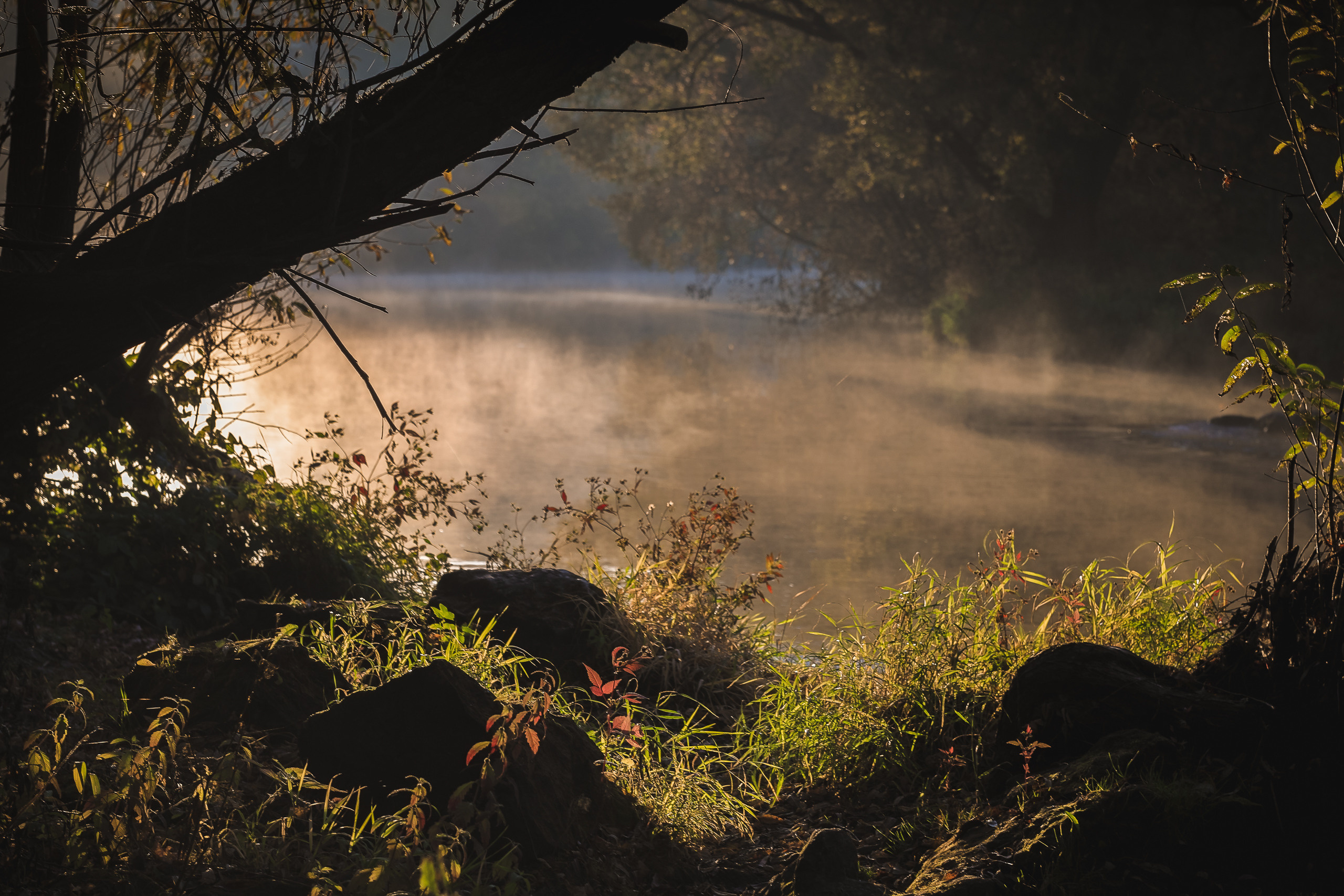Река Пахра ранним осенним утром. Стелящийся над поверхностью воды туман в утреннем свете