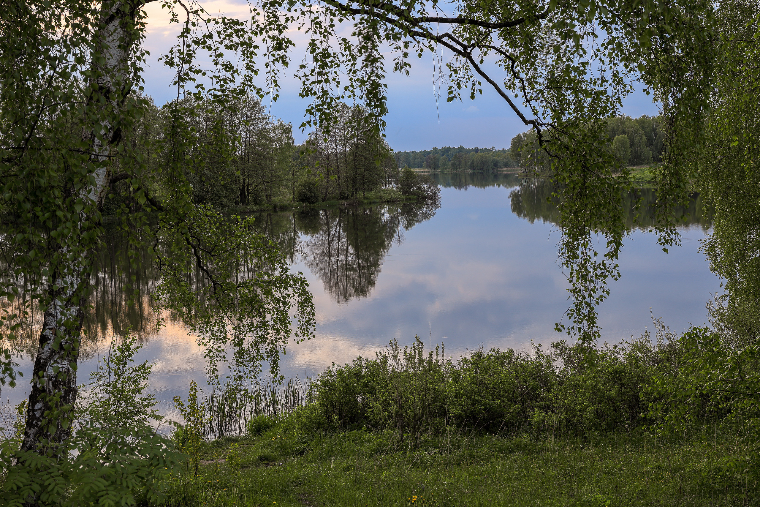 Вечерняя гладь реки Жданка