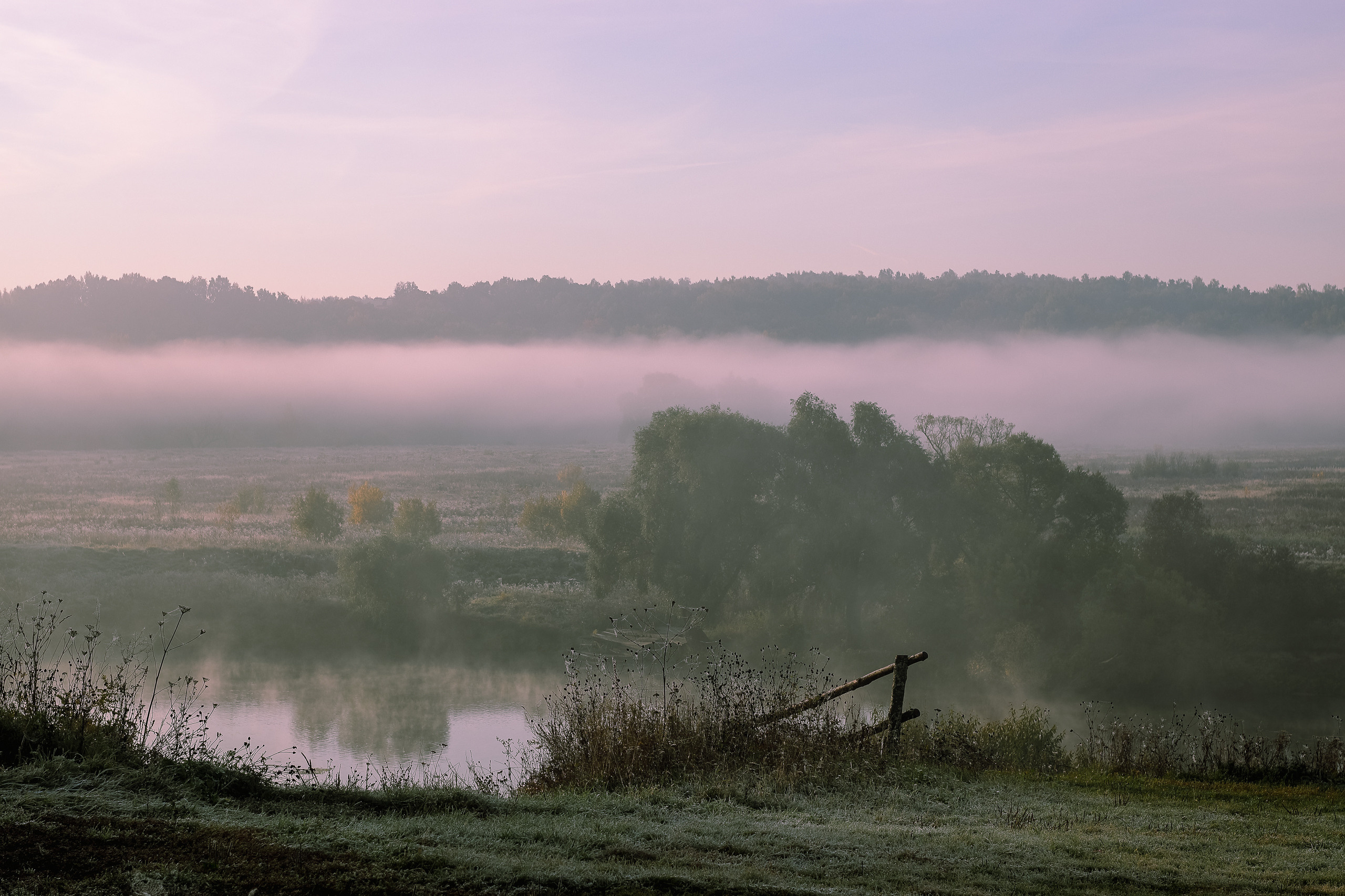 Спуск к реке Пахра туманным осенним утром. Фото с подчеркнутой туманом тональной перспективой
