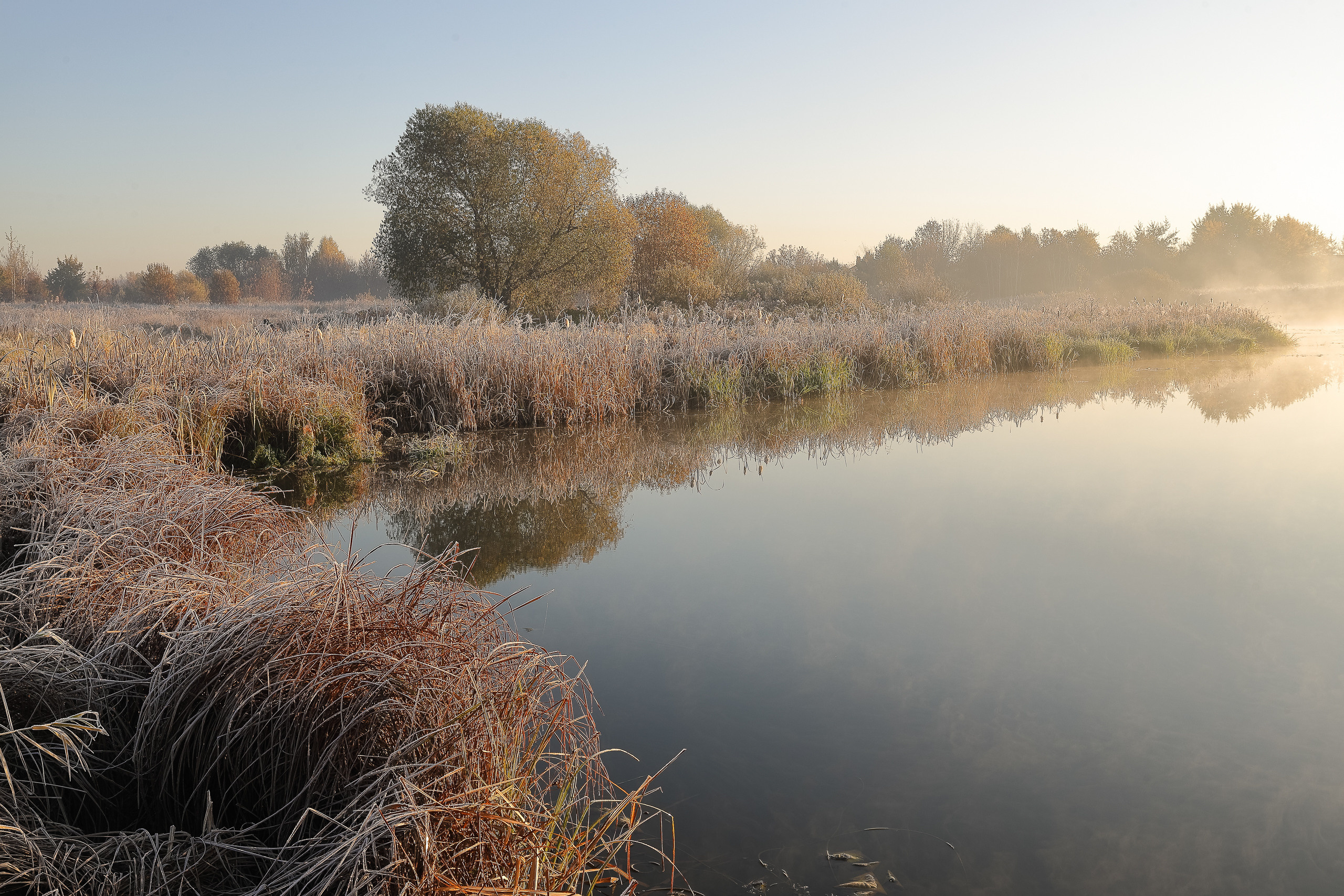 Осенним утром на речке в Подмосковье