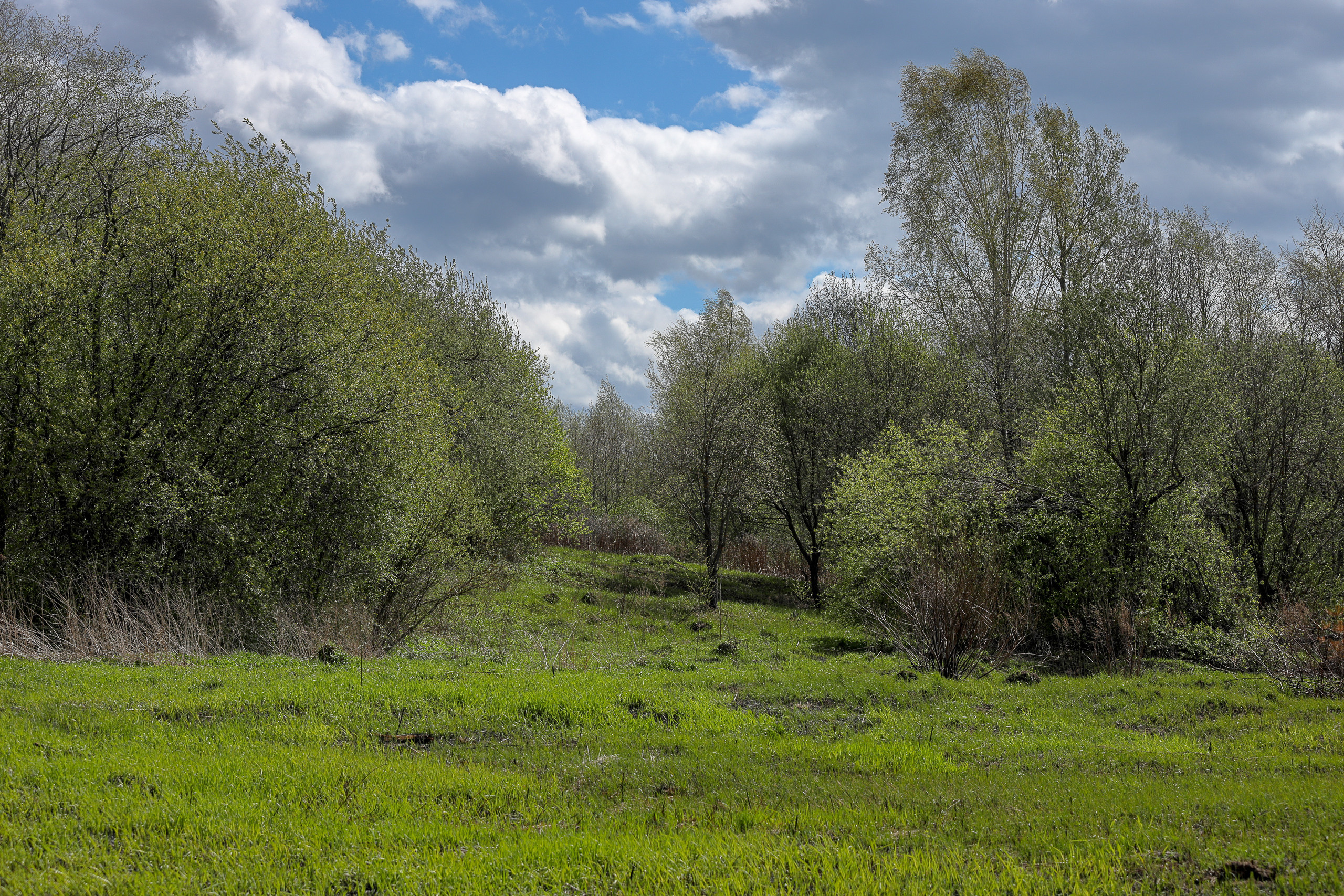 На Клинской гряде весной. Что и как фотографировать весной?