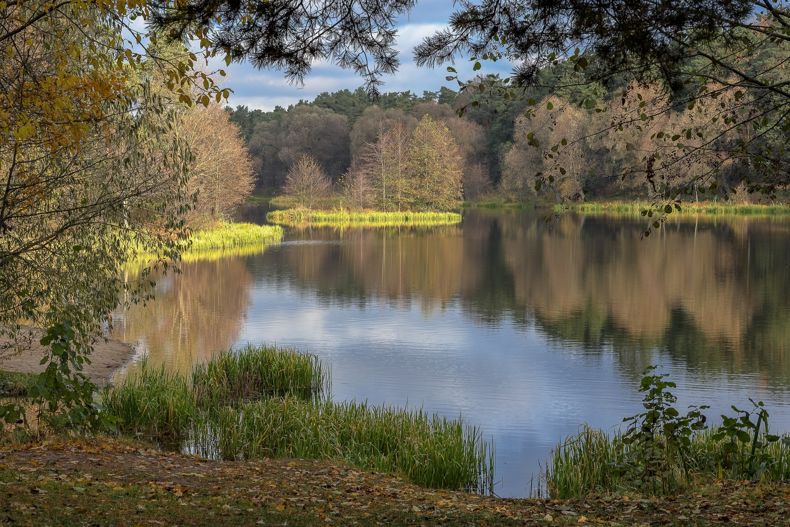 Осенние краски озера Кратово, снято на 85мм объектив
