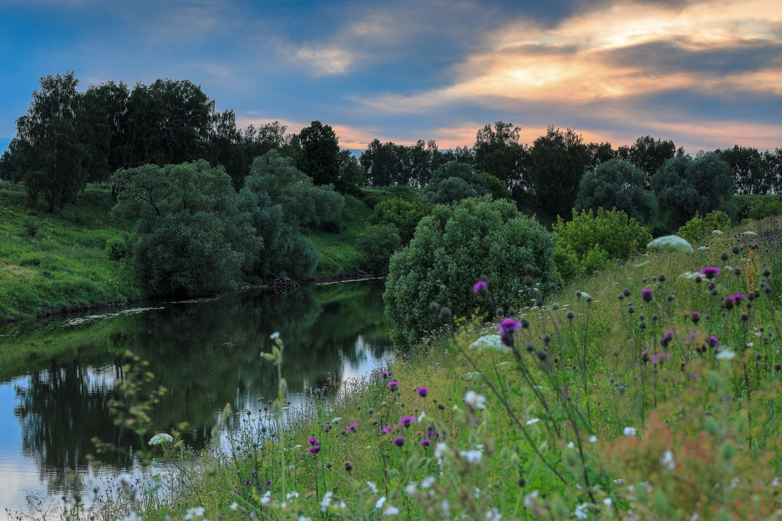 Летний вечерний пейзаж в Подмосковье. Речка Пахра