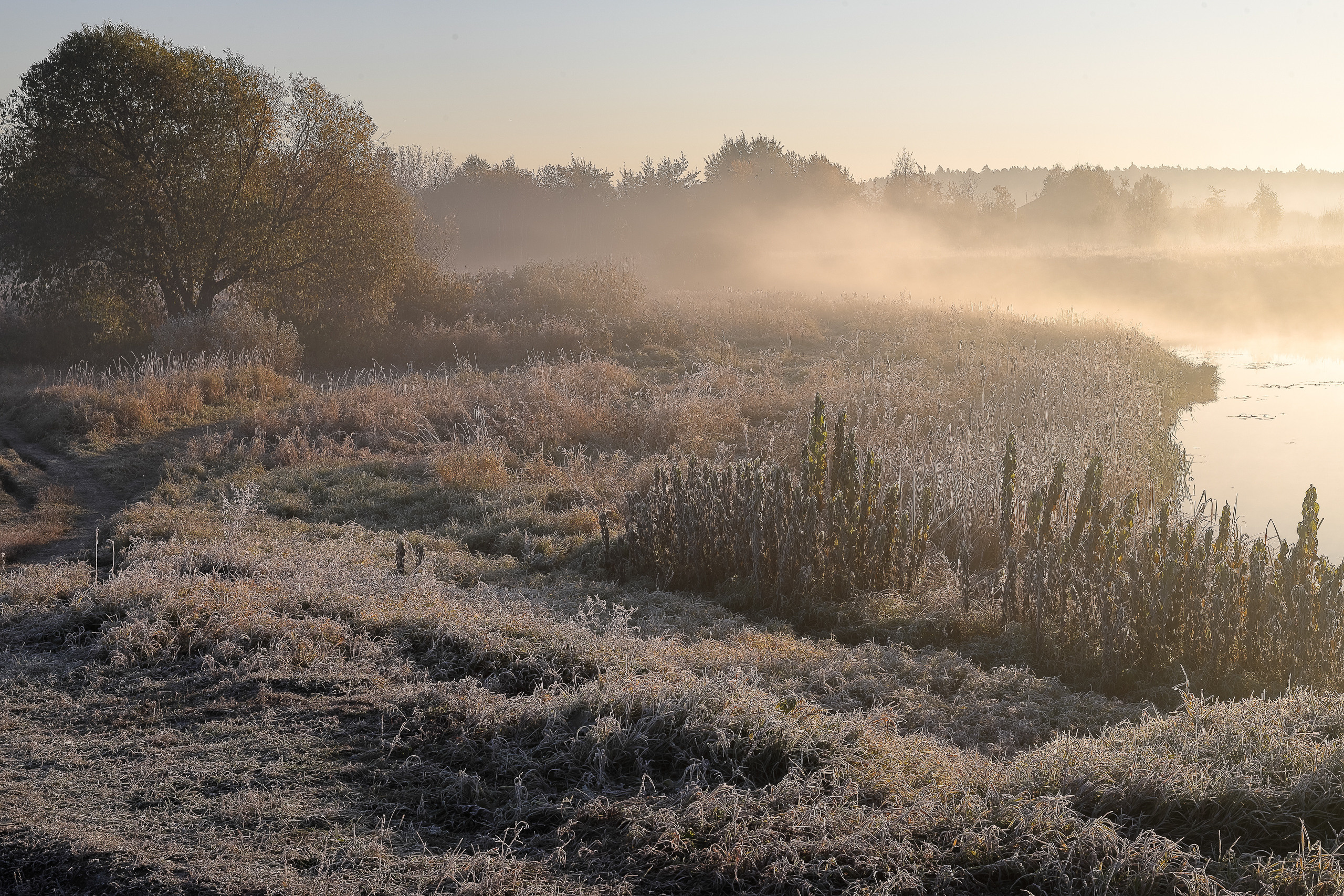 Туманный осенний рассвет после ночных заморозков на реке Быковка